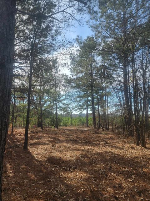 Vacant Land For Sale - TBD Brandy Dr<br/> Upshur County, Diana, TX 75640