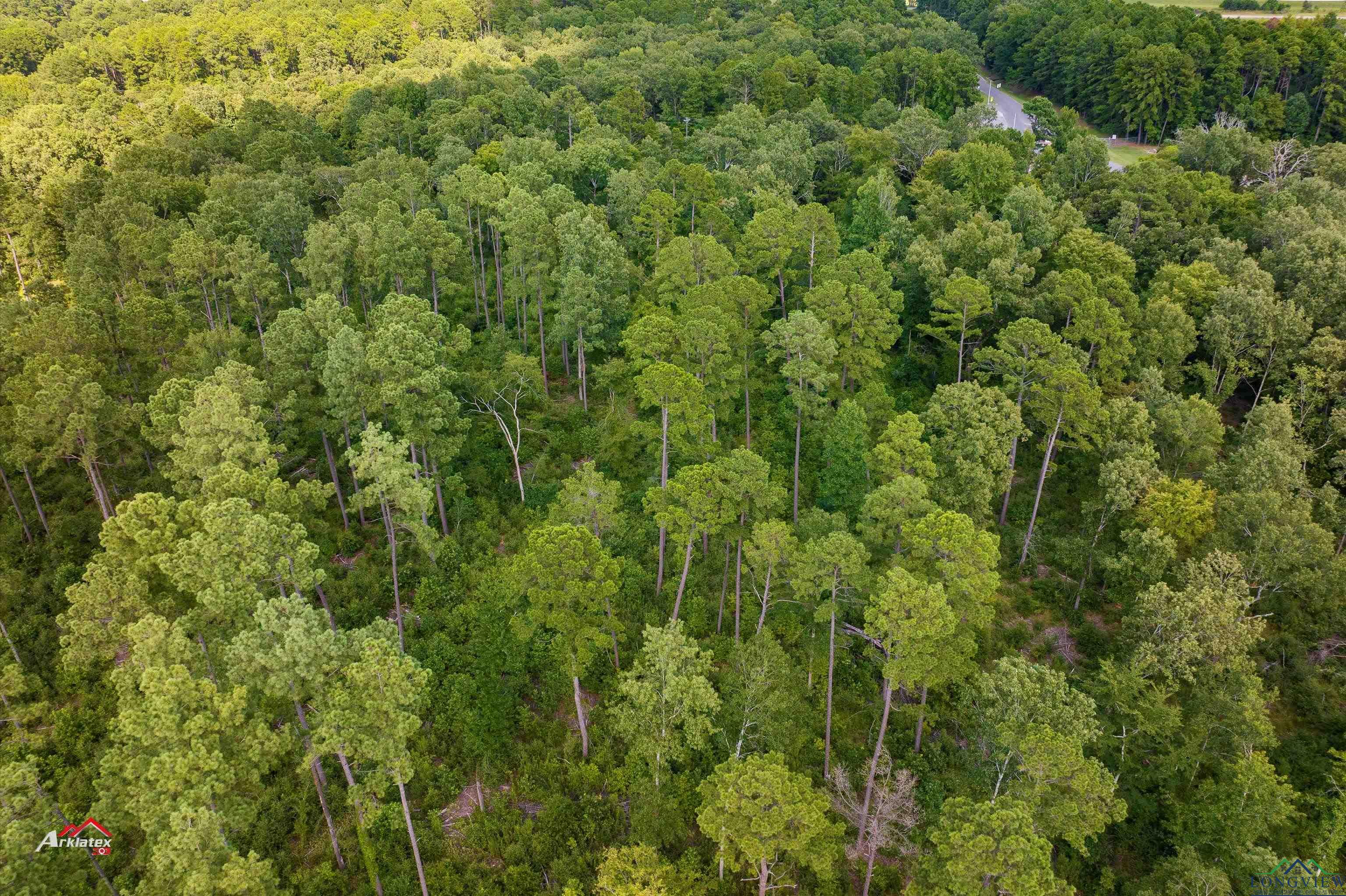 TBD 26 +/- Ac Fm 2658, Tatum, Texas image 11