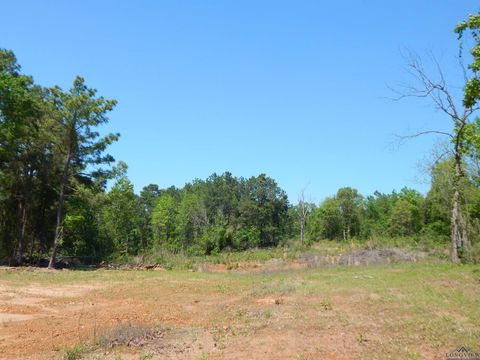 Vacant Land For Sale - TBD 15 ACRES Fm 1795 Side 2<br/> Upshur County, Big Sandy, TX 75755