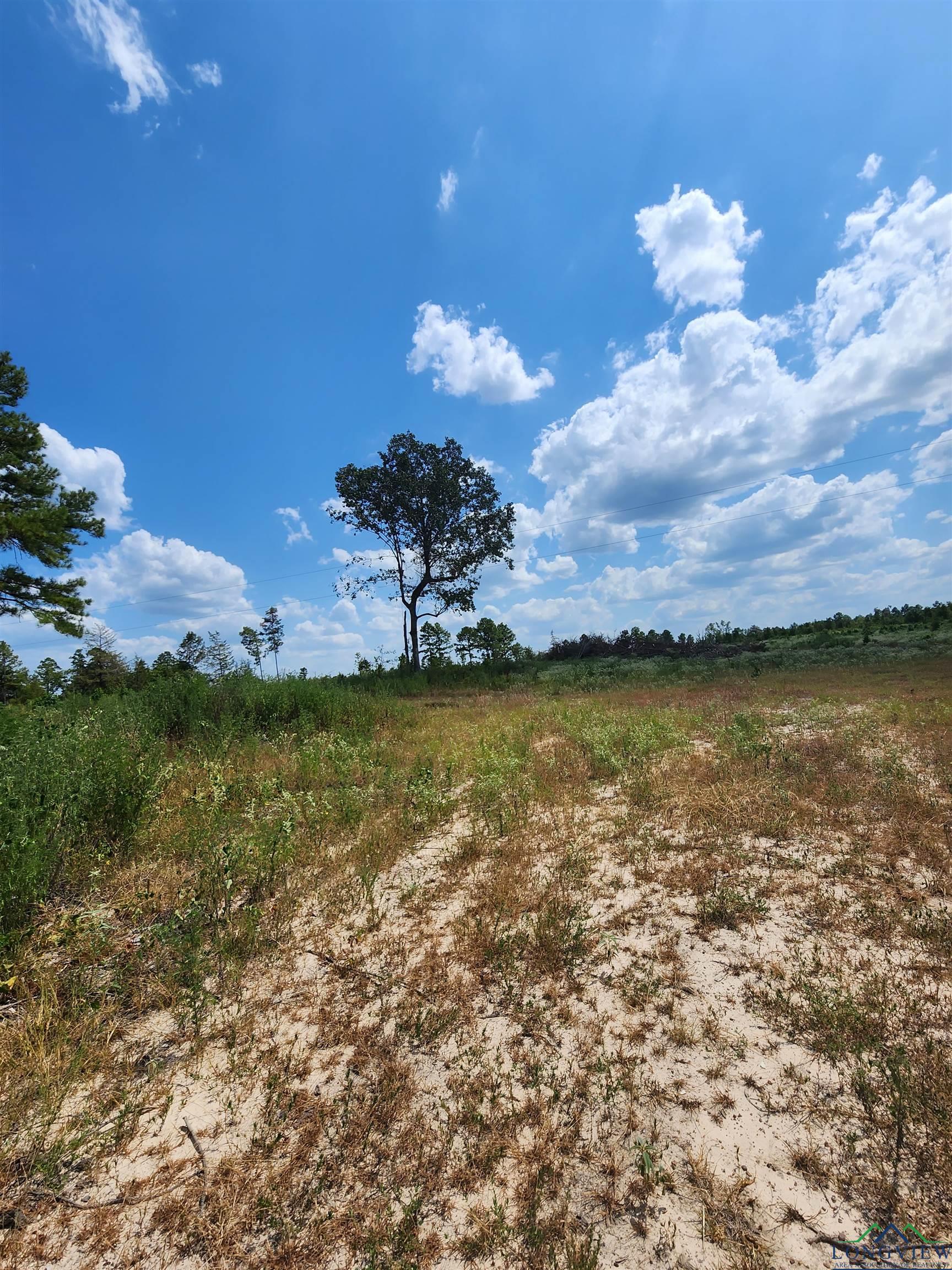 TBD County Road 1762- Tract 4, 8.0 Acres, Jefferson, Texas image 9