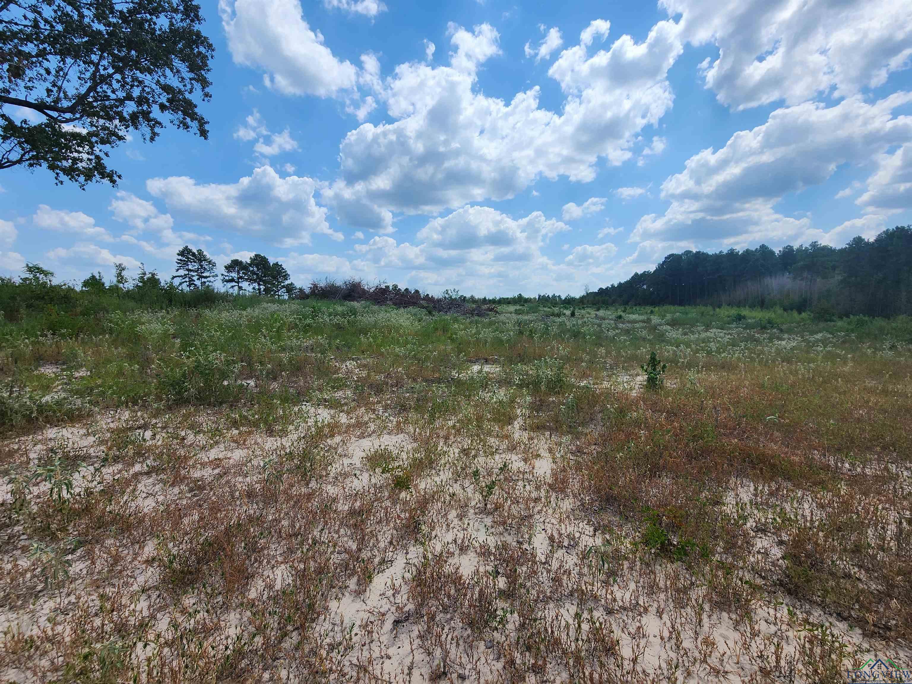 TBD County Road 1762- Tract 4, 8.0 Acres, Jefferson, Texas image 12