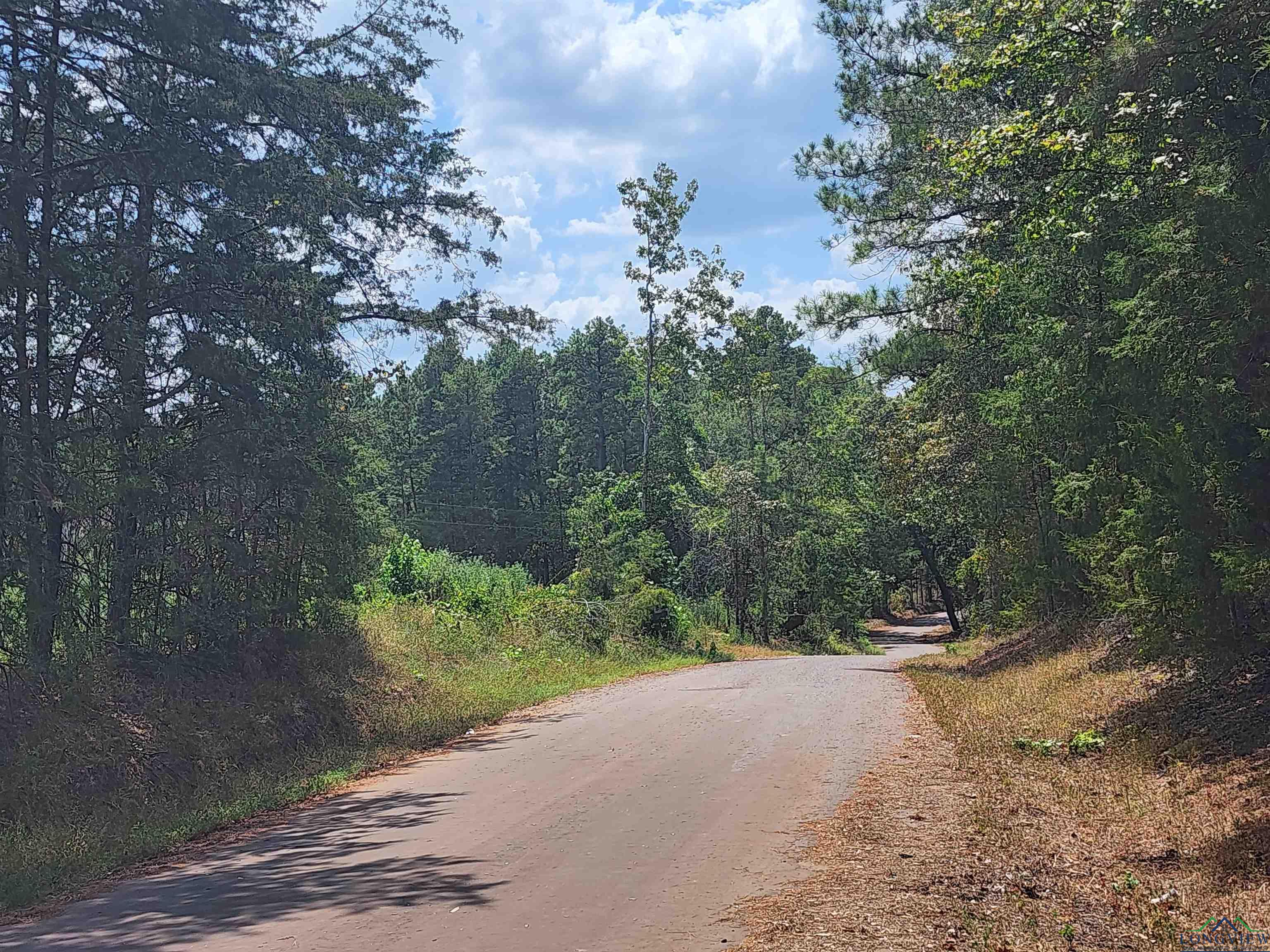 TBD County Road 1762- Tract 4, 8.0 Acres, Jefferson, Texas image 7