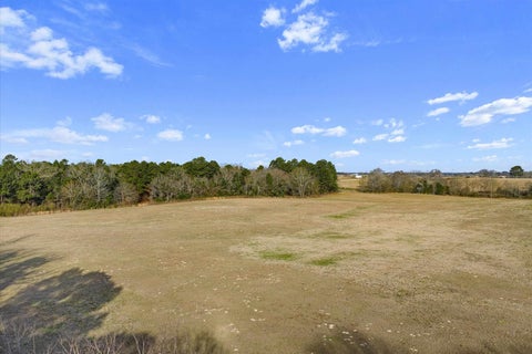 Vacant Land For Sale - LOT 2 2599 Cr 462 S<br/> Rusk County, Henderson, TX 75654