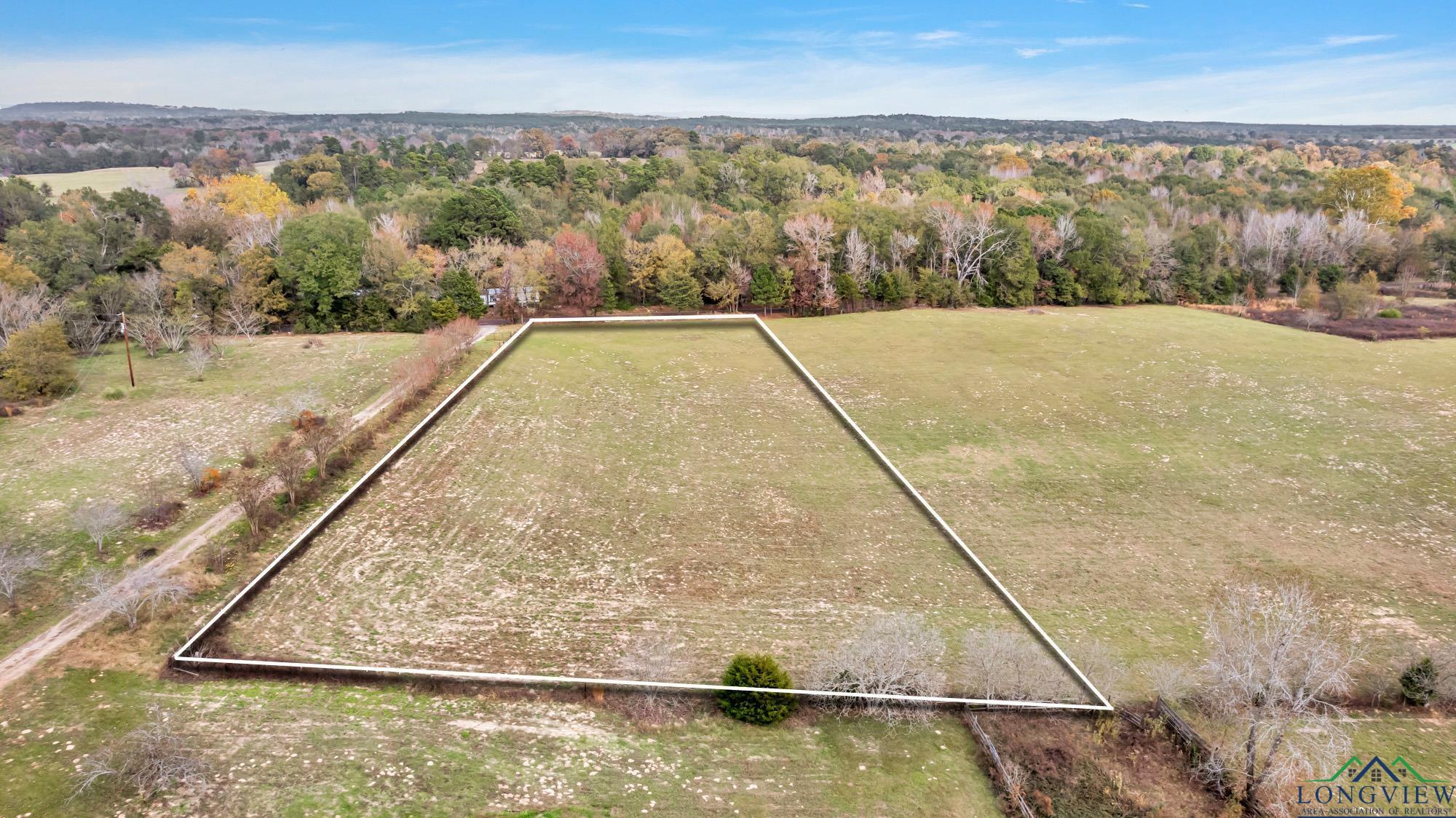 TBD Bob O Link Rd, Gilmer, Texas image 1