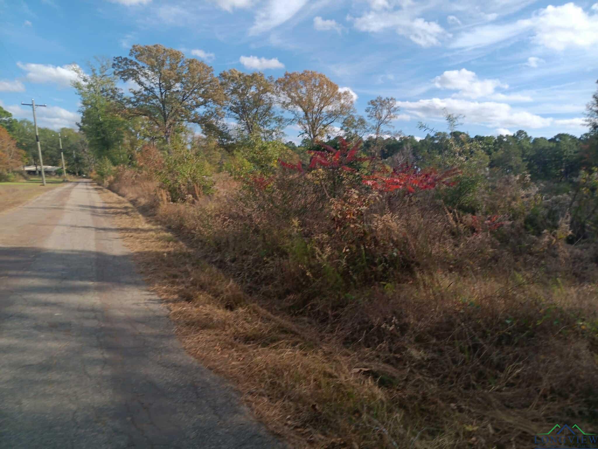 TBD 1 Geranium Rd, Ore City, Texas image 1