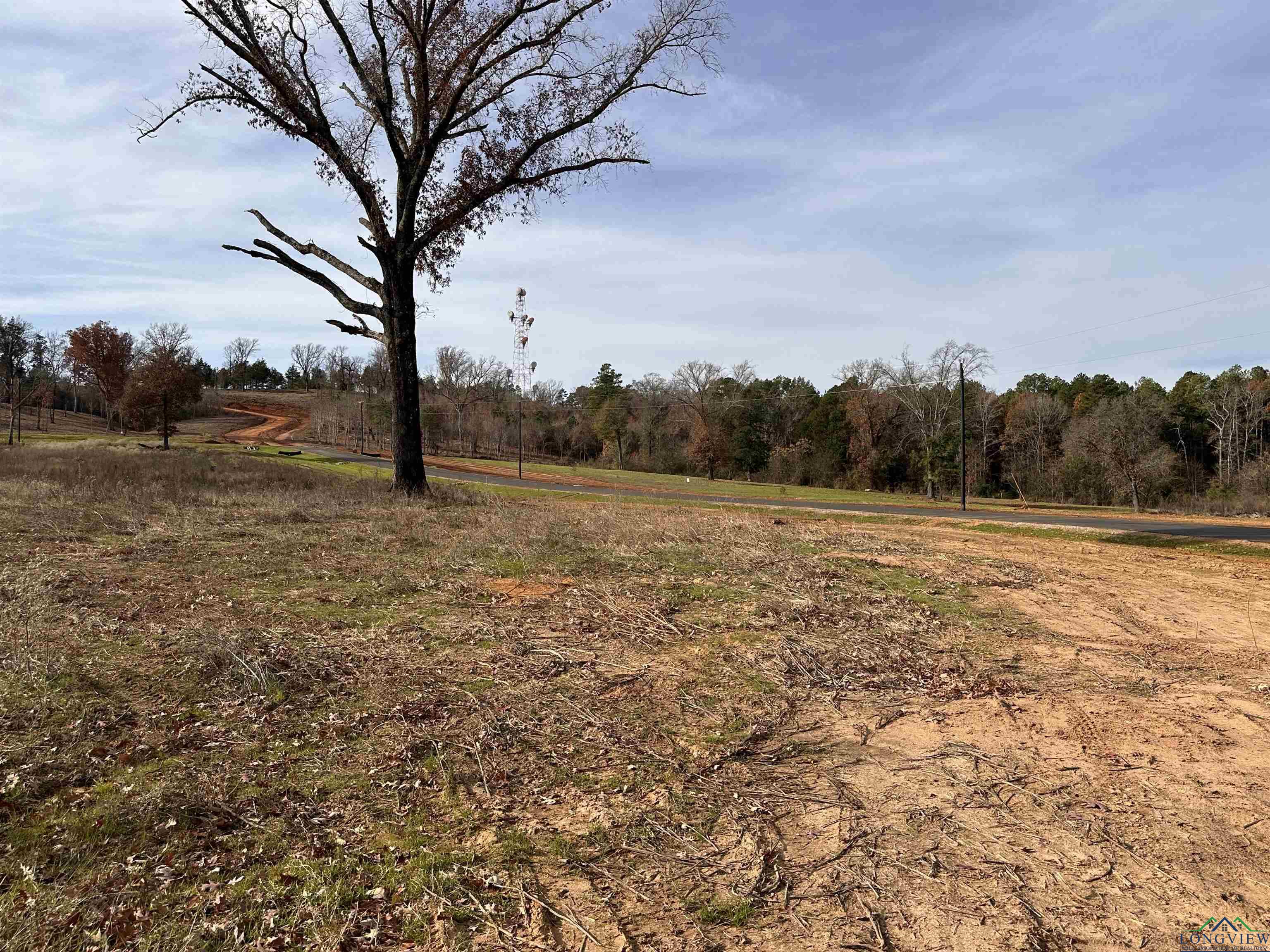 TBD Ridgeline Loop, Winona, Texas image 4