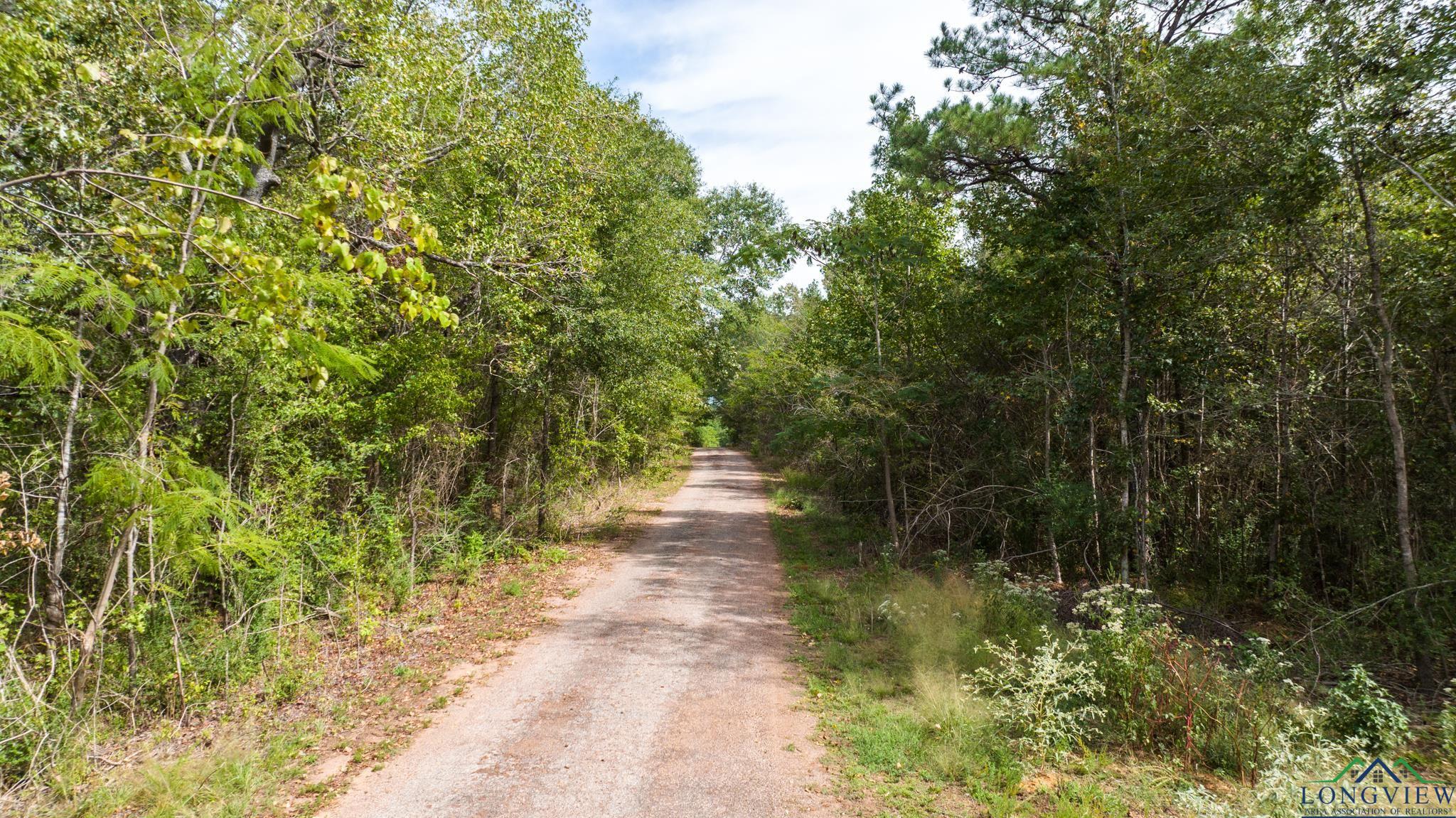 8779 W Hwy 80, Marshall, Texas image 6