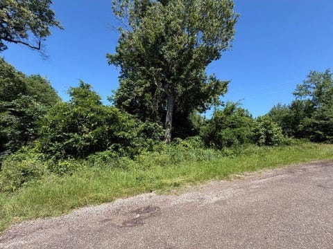 Vacant Land For Sale - 1153 Cr 342<br/> Rusk County, Henderson, TX 75654
