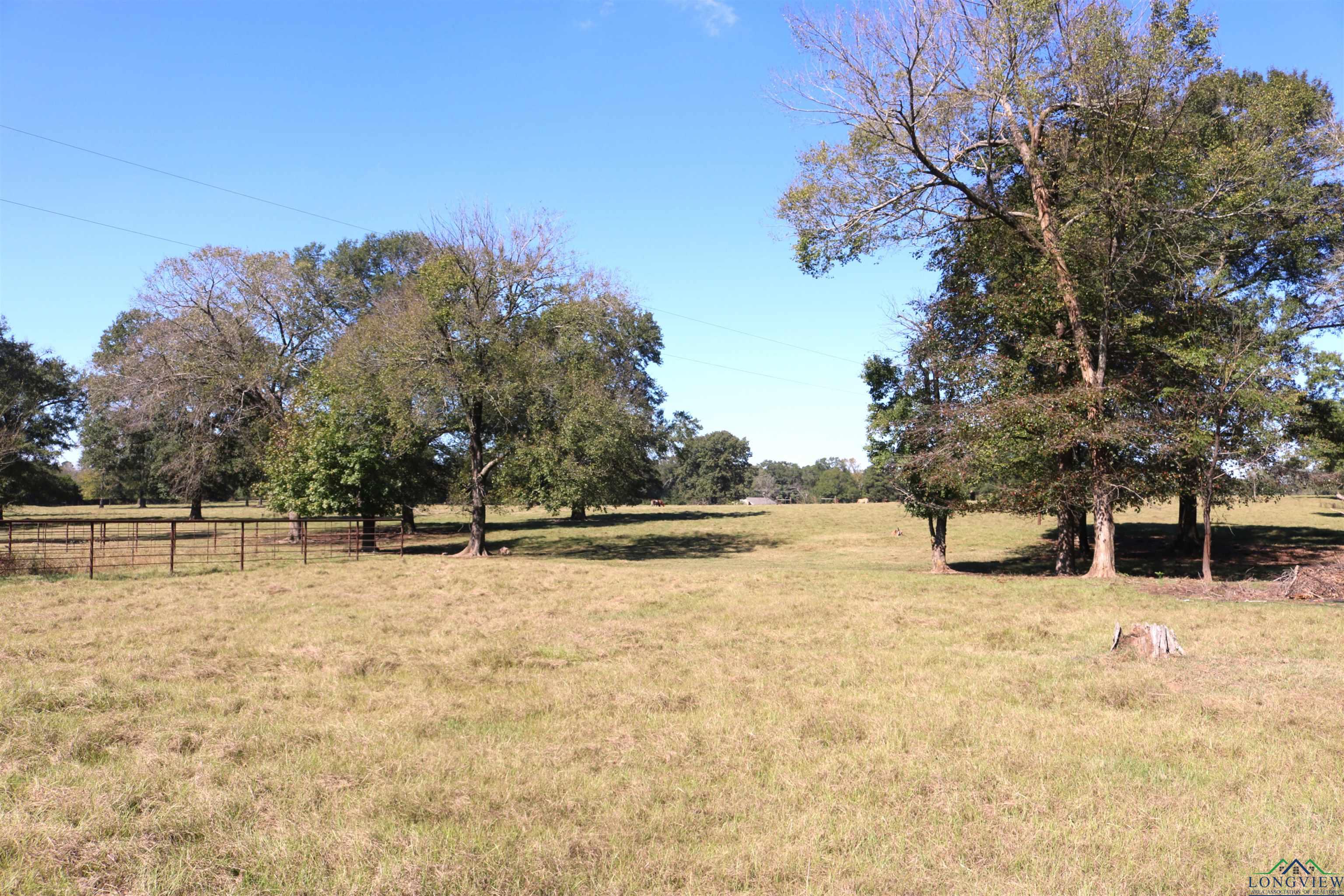 TBD Fm 49, Gilmer, Texas image 21