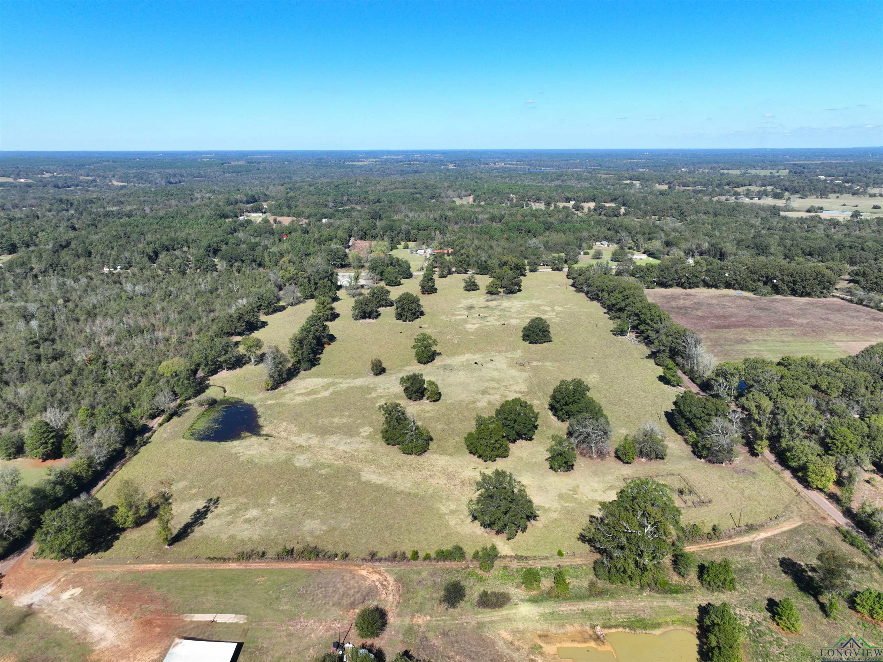 TBD Fm 49, Gilmer, Texas image 9