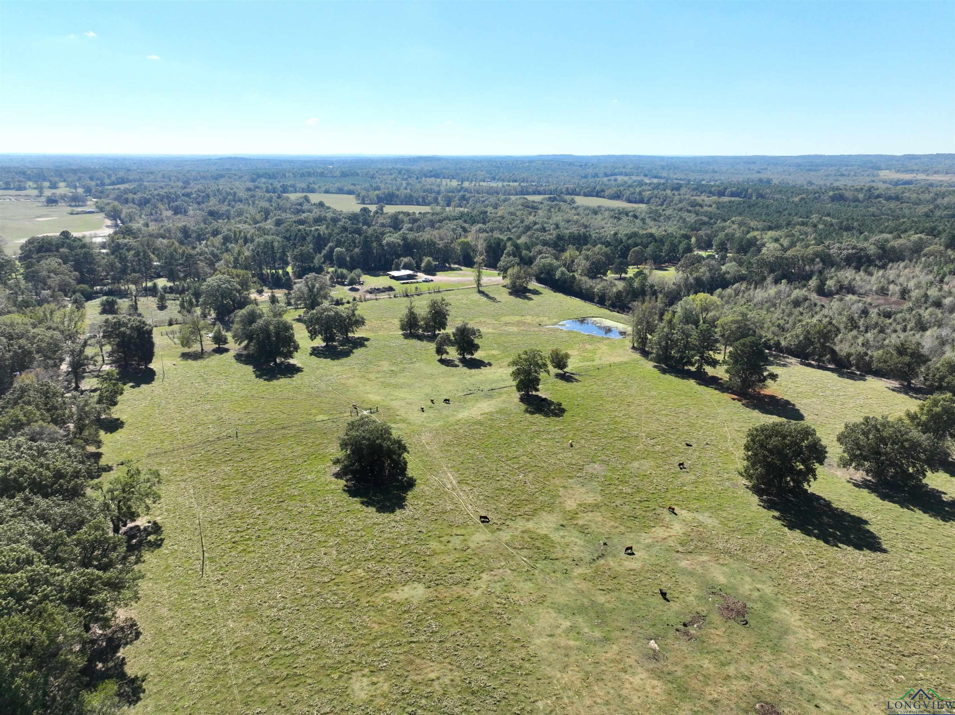 TBD Fm 49, Gilmer, Texas image 6