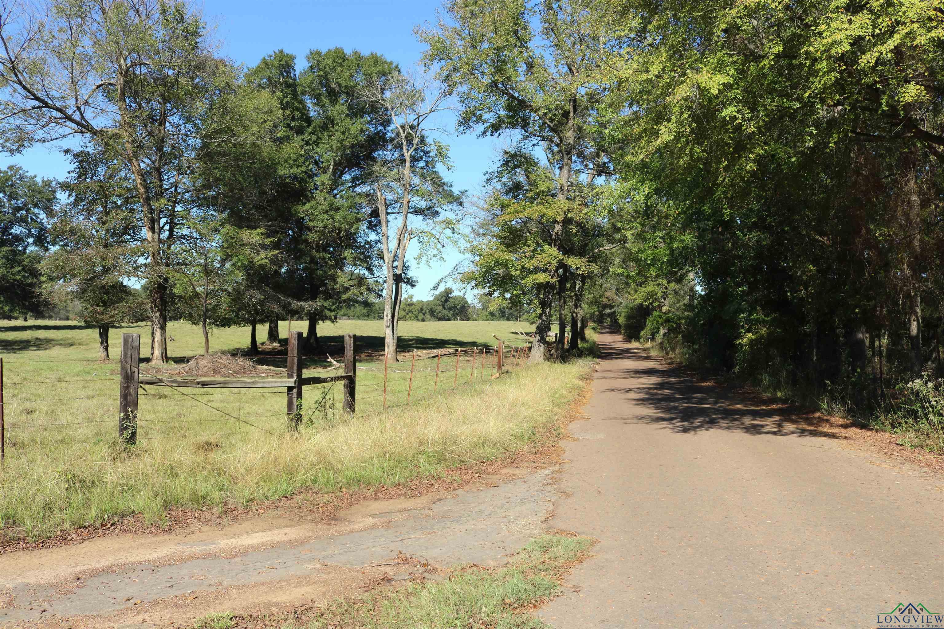 TBD Fm 49, Gilmer, Texas image 19