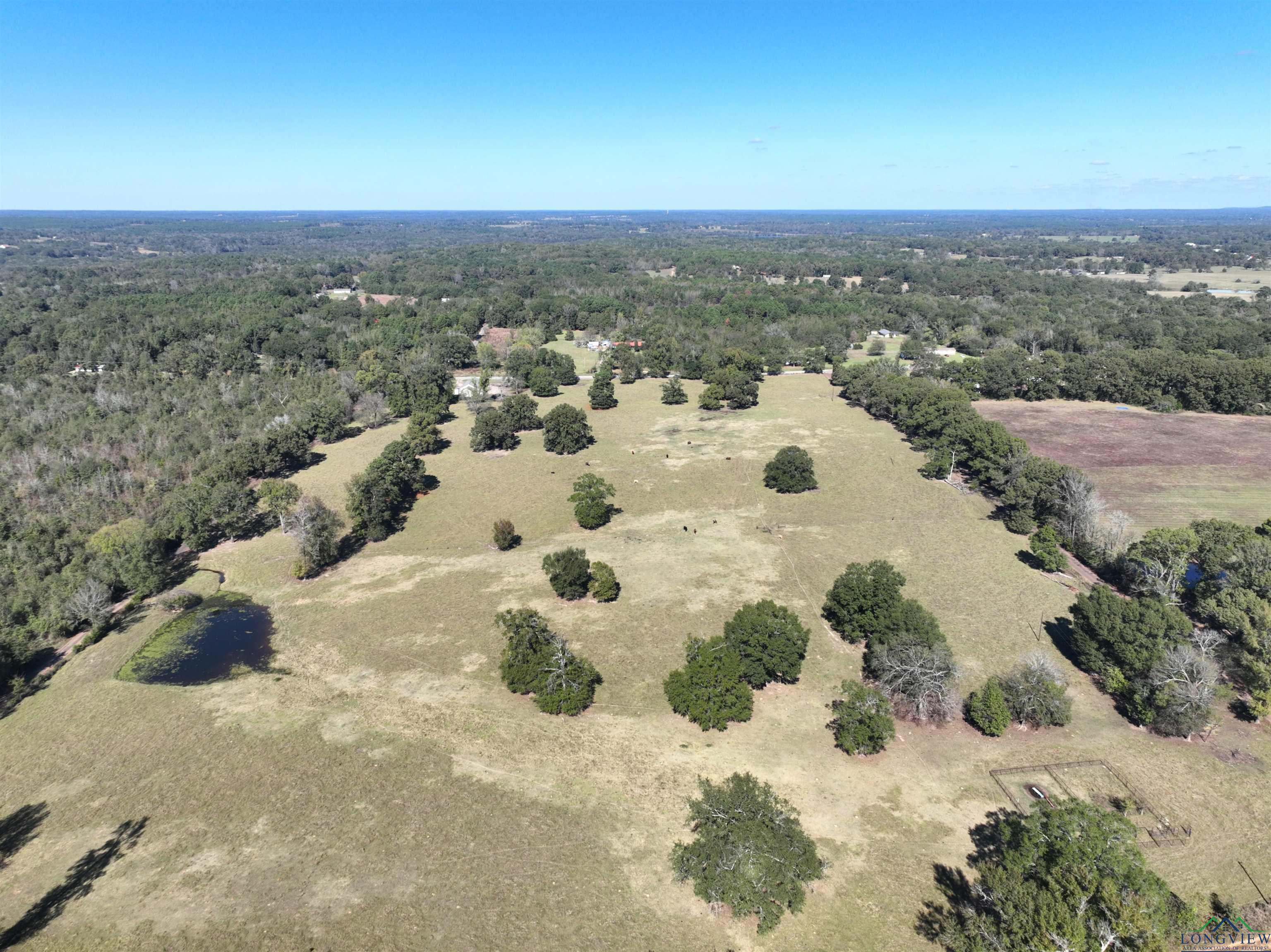 TBD Fm 49, Gilmer, Texas image 10