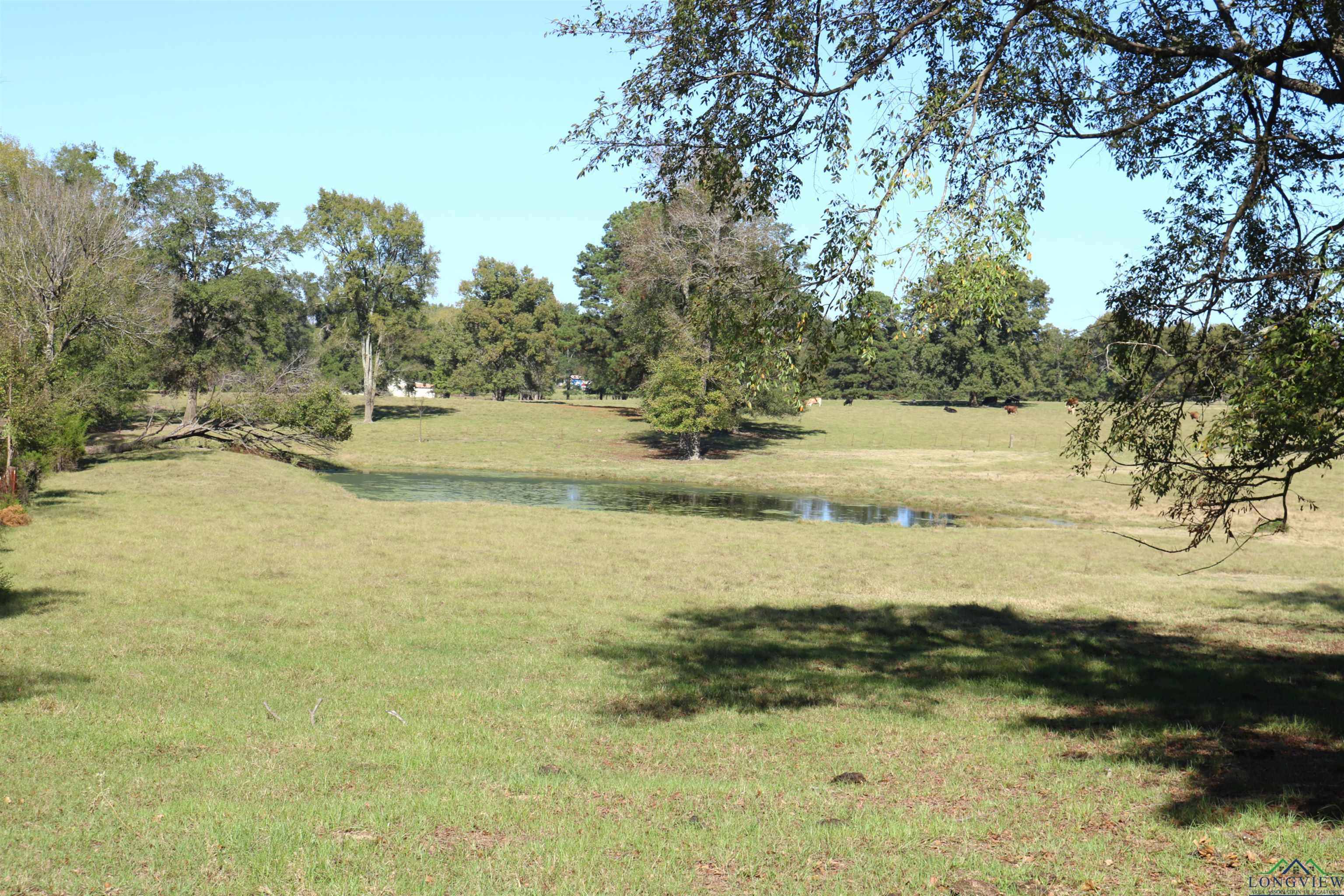 TBD Fm 49, Gilmer, Texas image 32