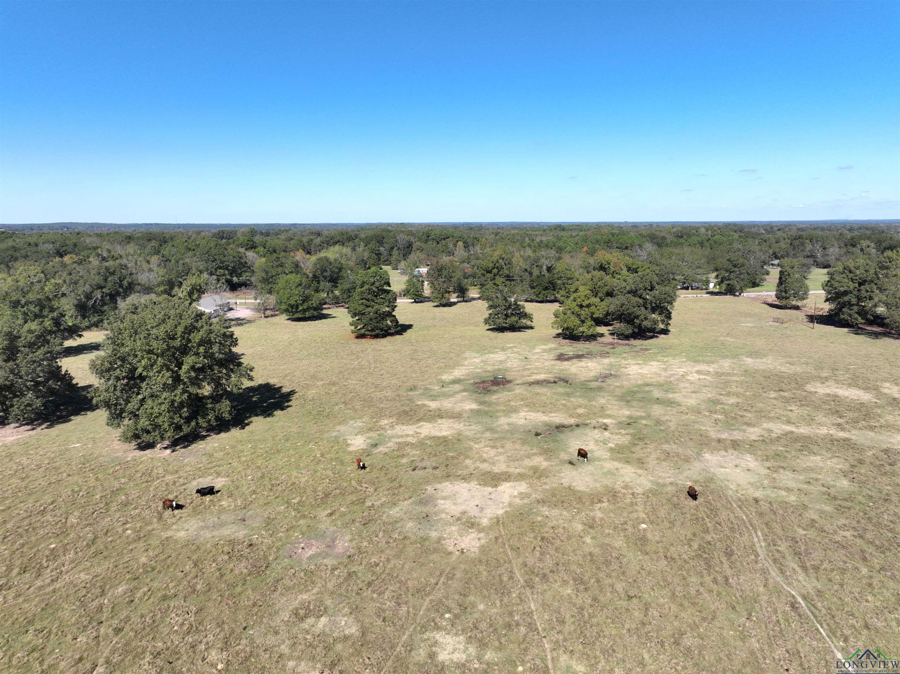 TBD Fm 49, Gilmer, Texas image 14