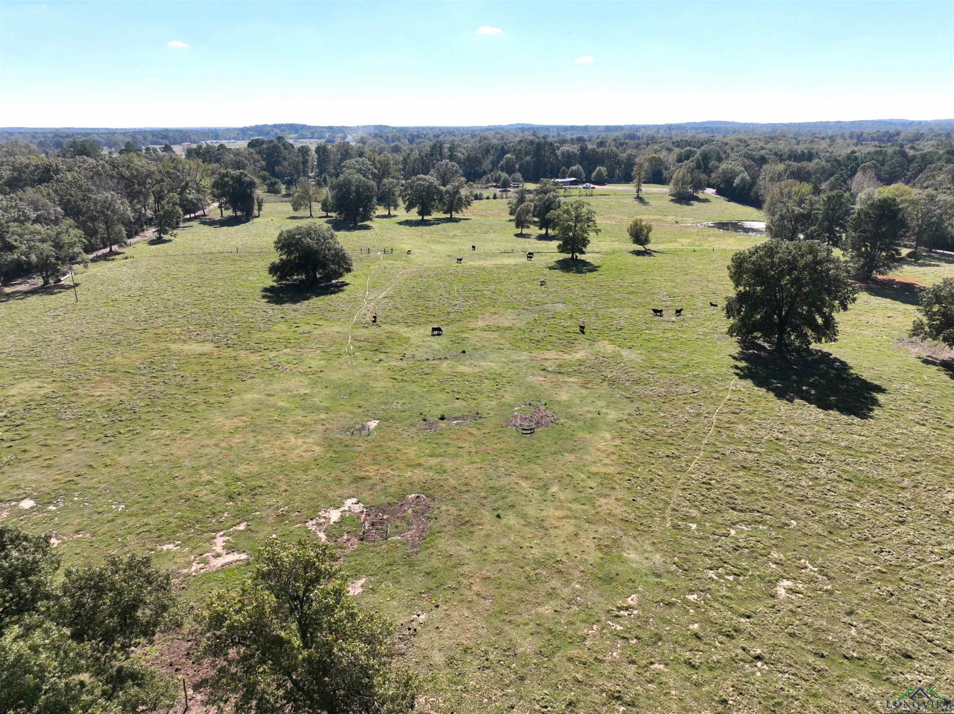 TBD Fm 49, Gilmer, Texas image 15