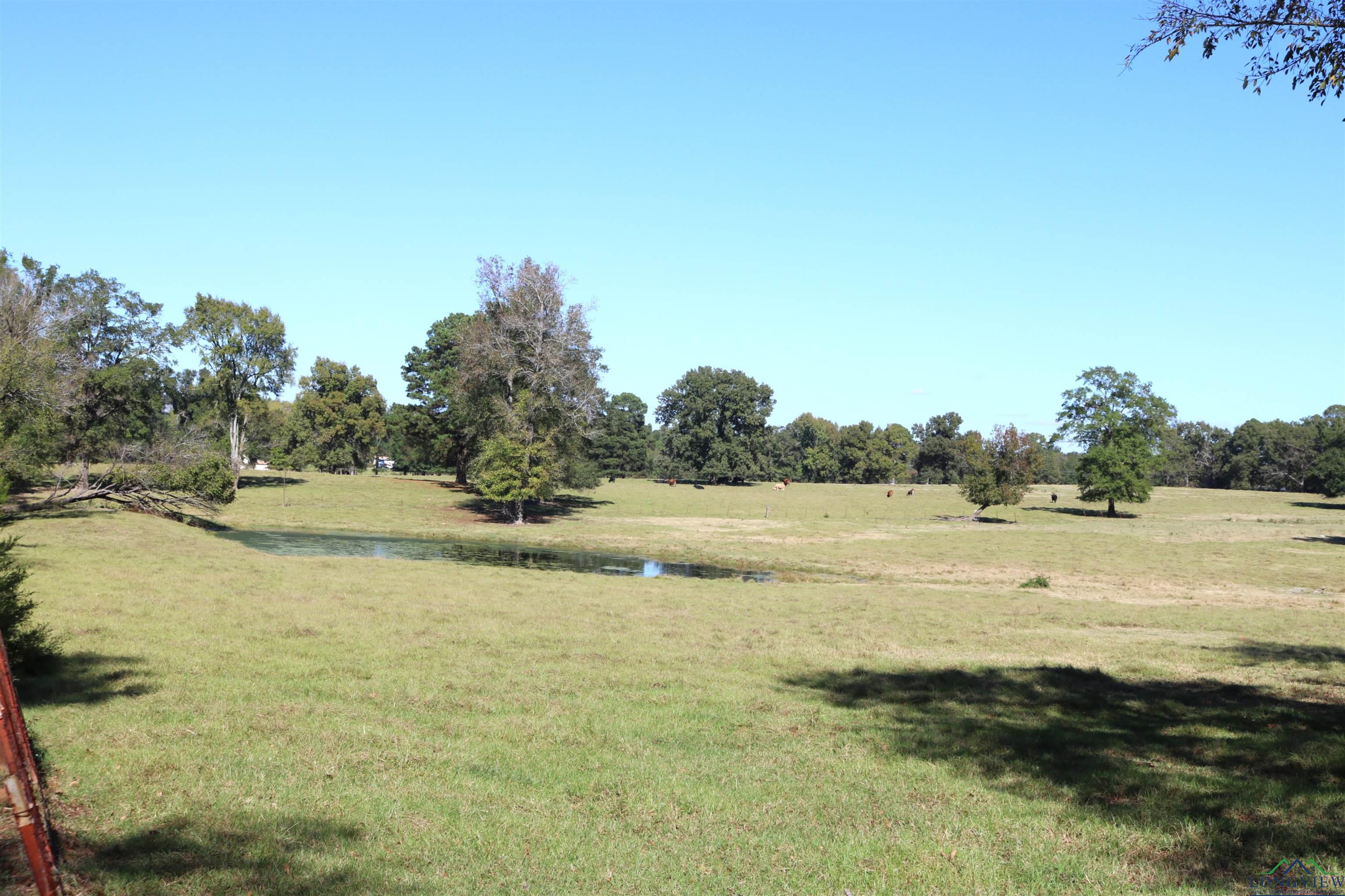 TBD Fm 49, Gilmer, Texas image 33