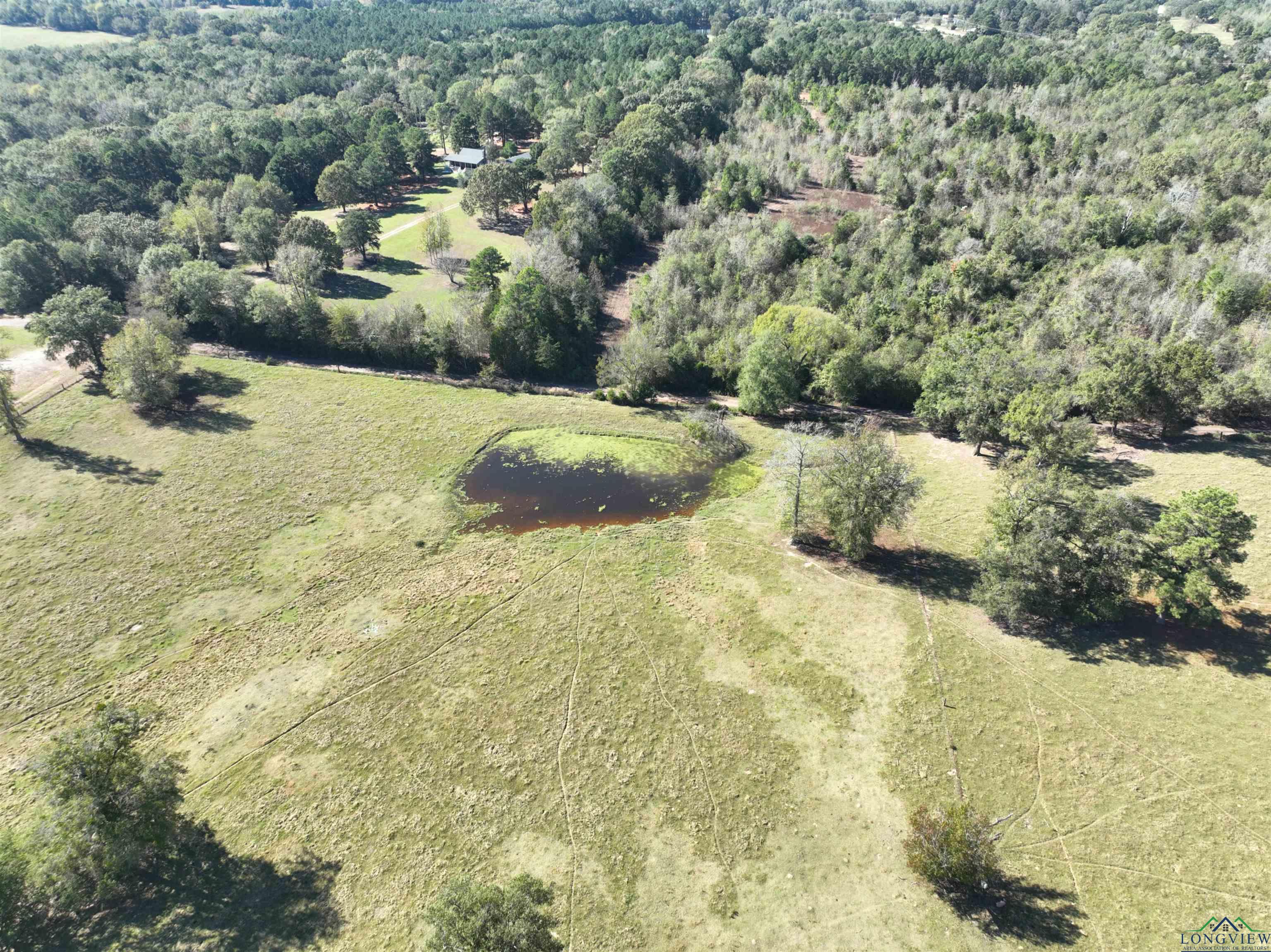 TBD Fm 49, Gilmer, Texas image 7