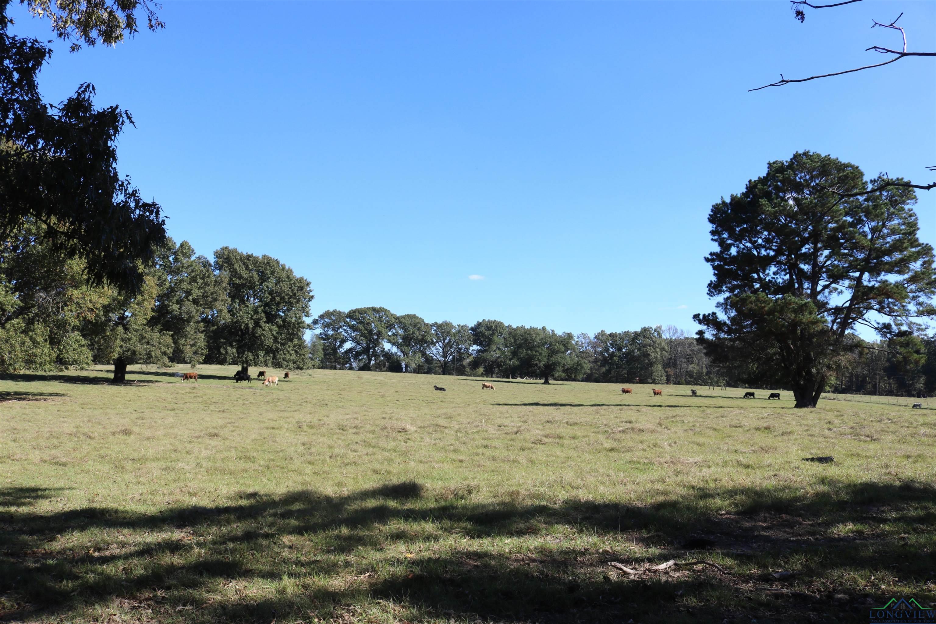 TBD Fm 49, Gilmer, Texas image 30