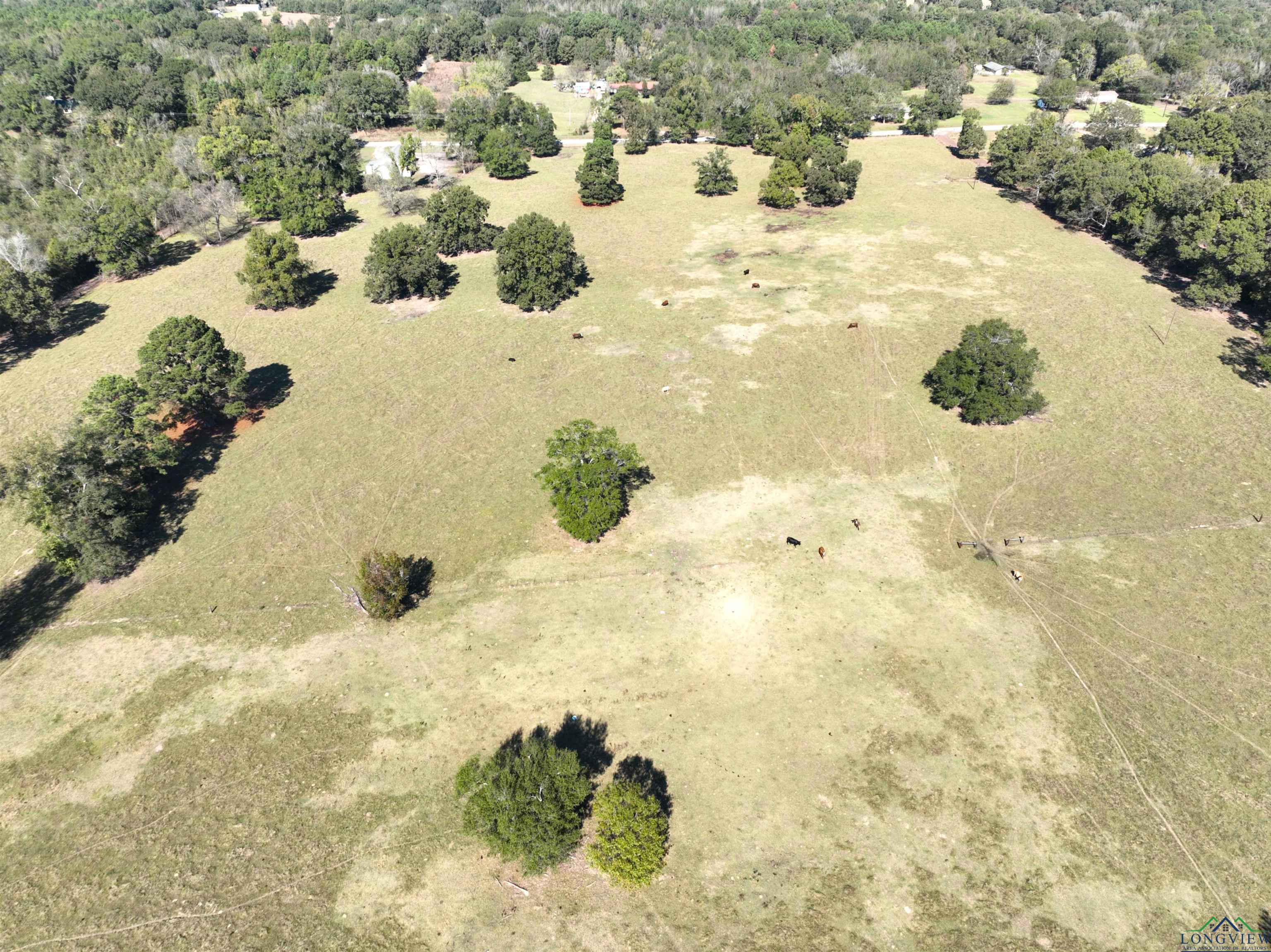 TBD Fm 49, Gilmer, Texas image 8