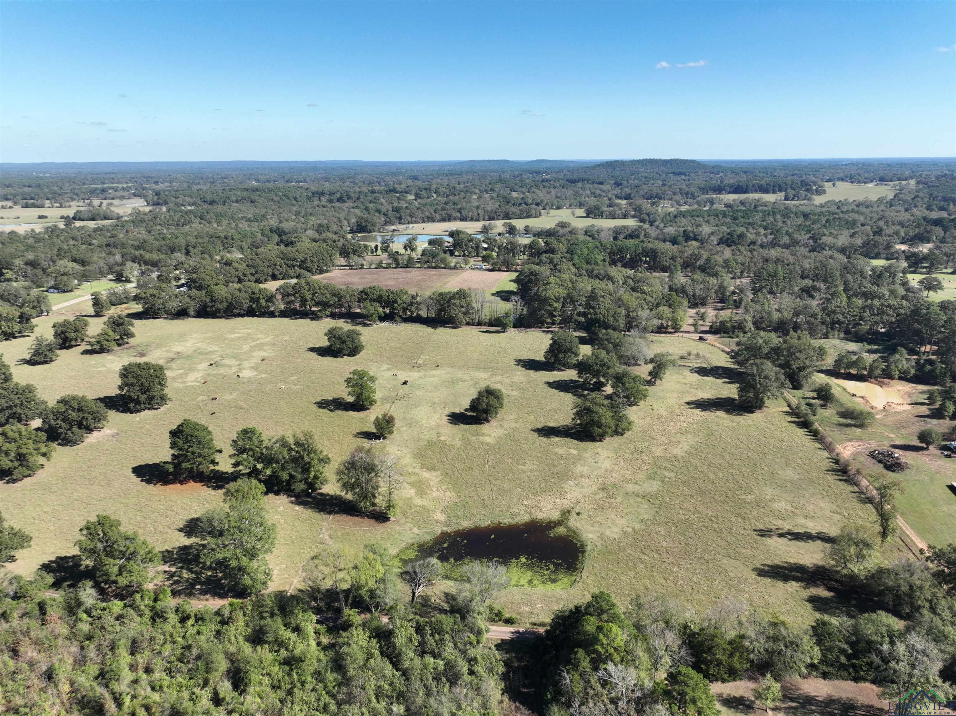 TBD Fm 49, Gilmer, Texas image 11