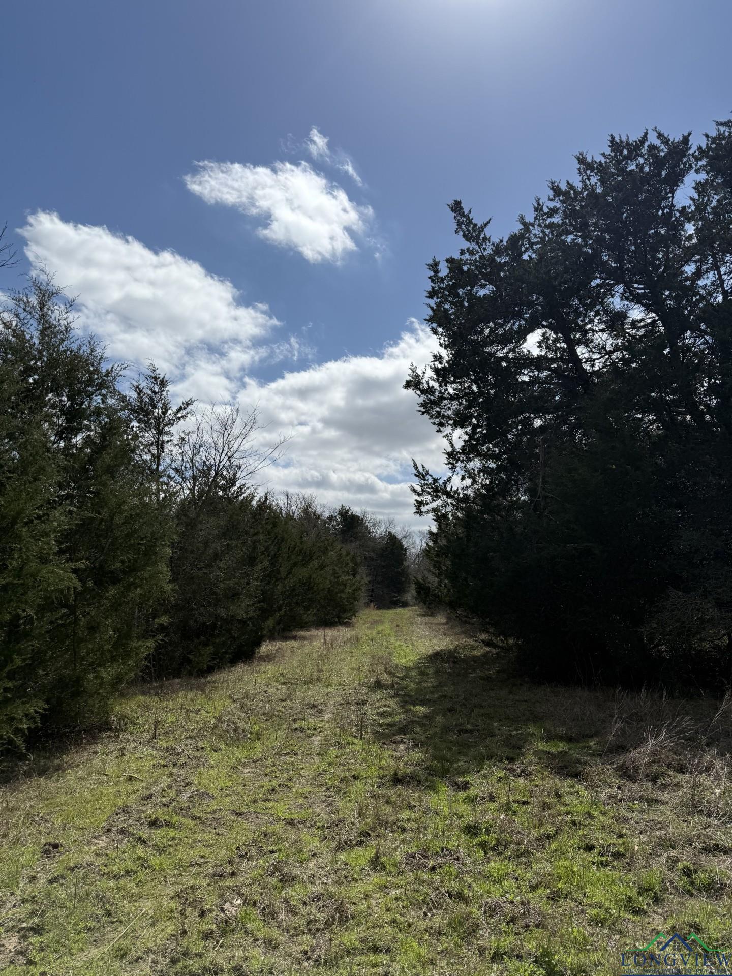 TBD Fcr 445, Fairfield, Texas image 6