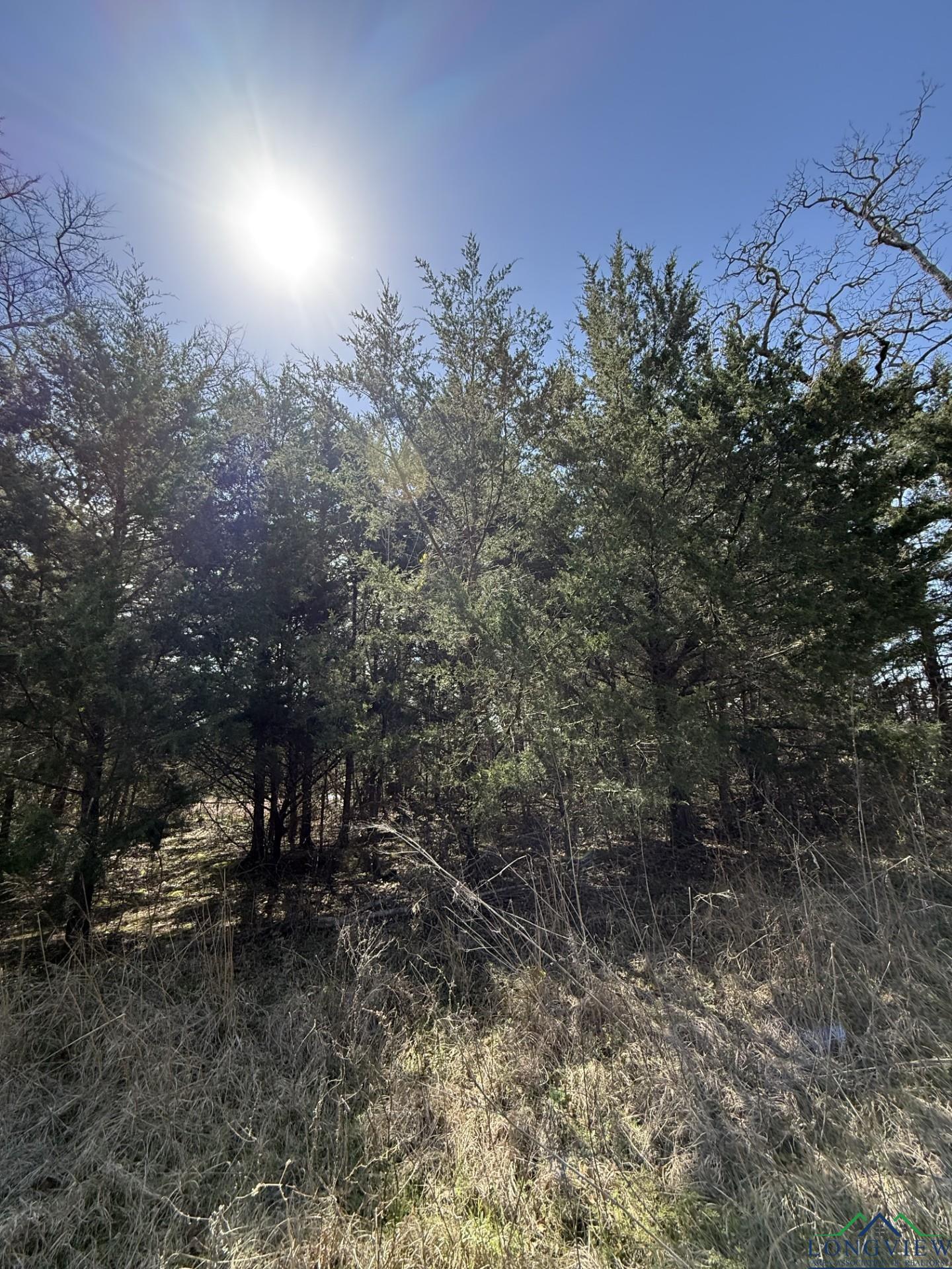TBD Fcr 445, Fairfield, Texas image 7