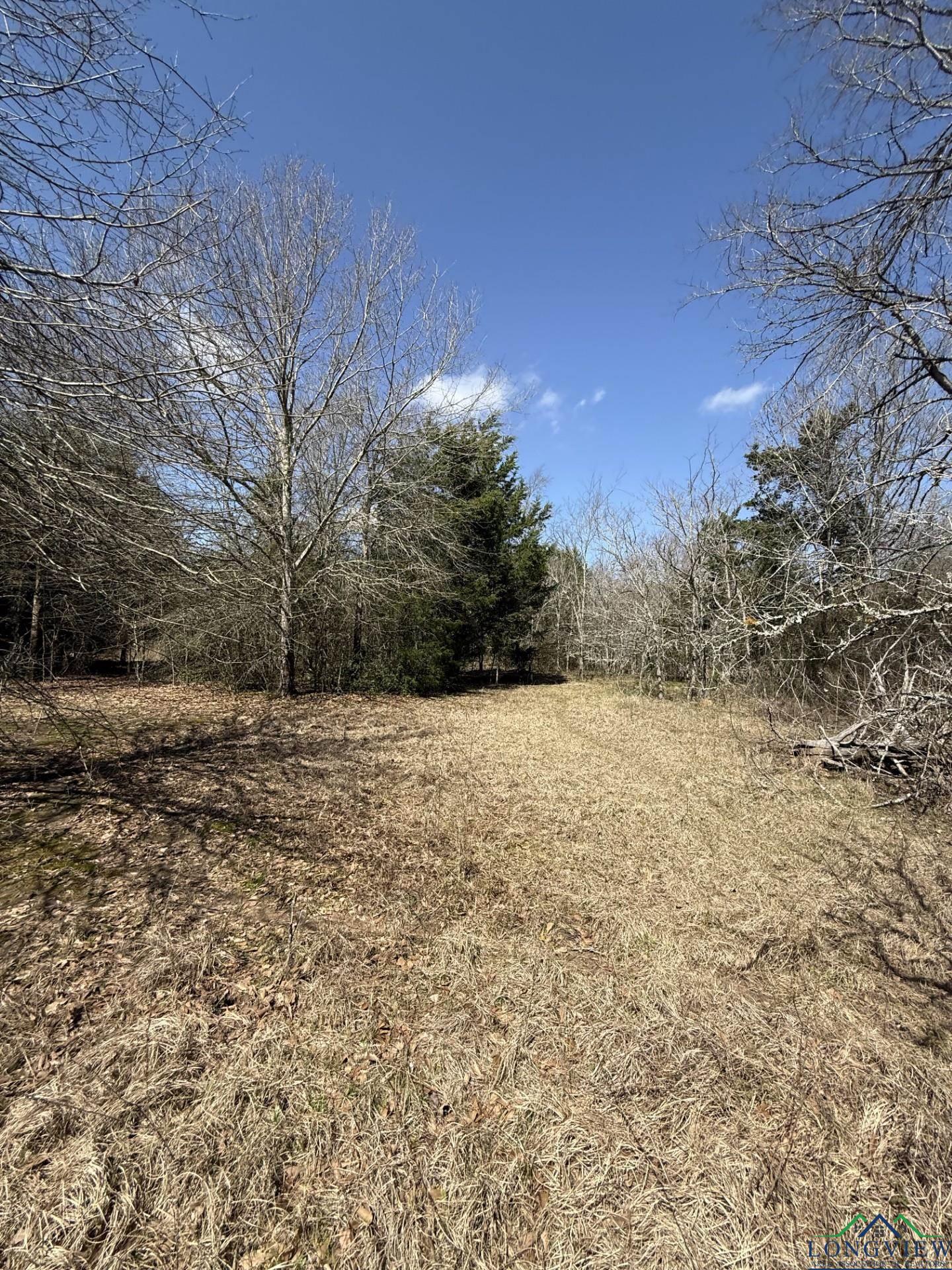 TBD Fcr 445, Fairfield, Texas image 16