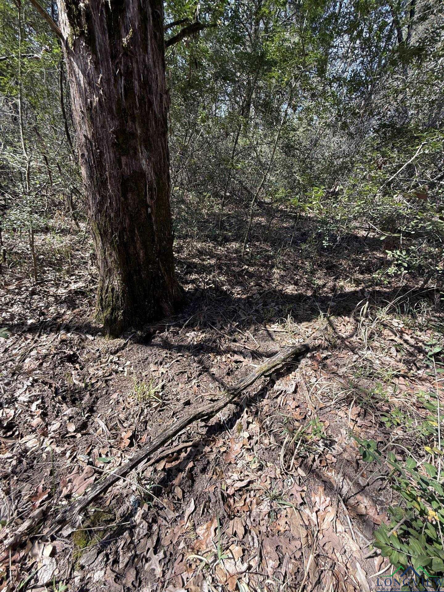 TBD Fcr 445, Fairfield, Texas image 15