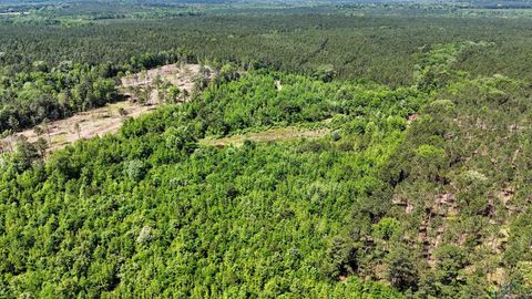 Homes For Sale - TBD Sand Country Rd<br/> Jefferson, TX 75656