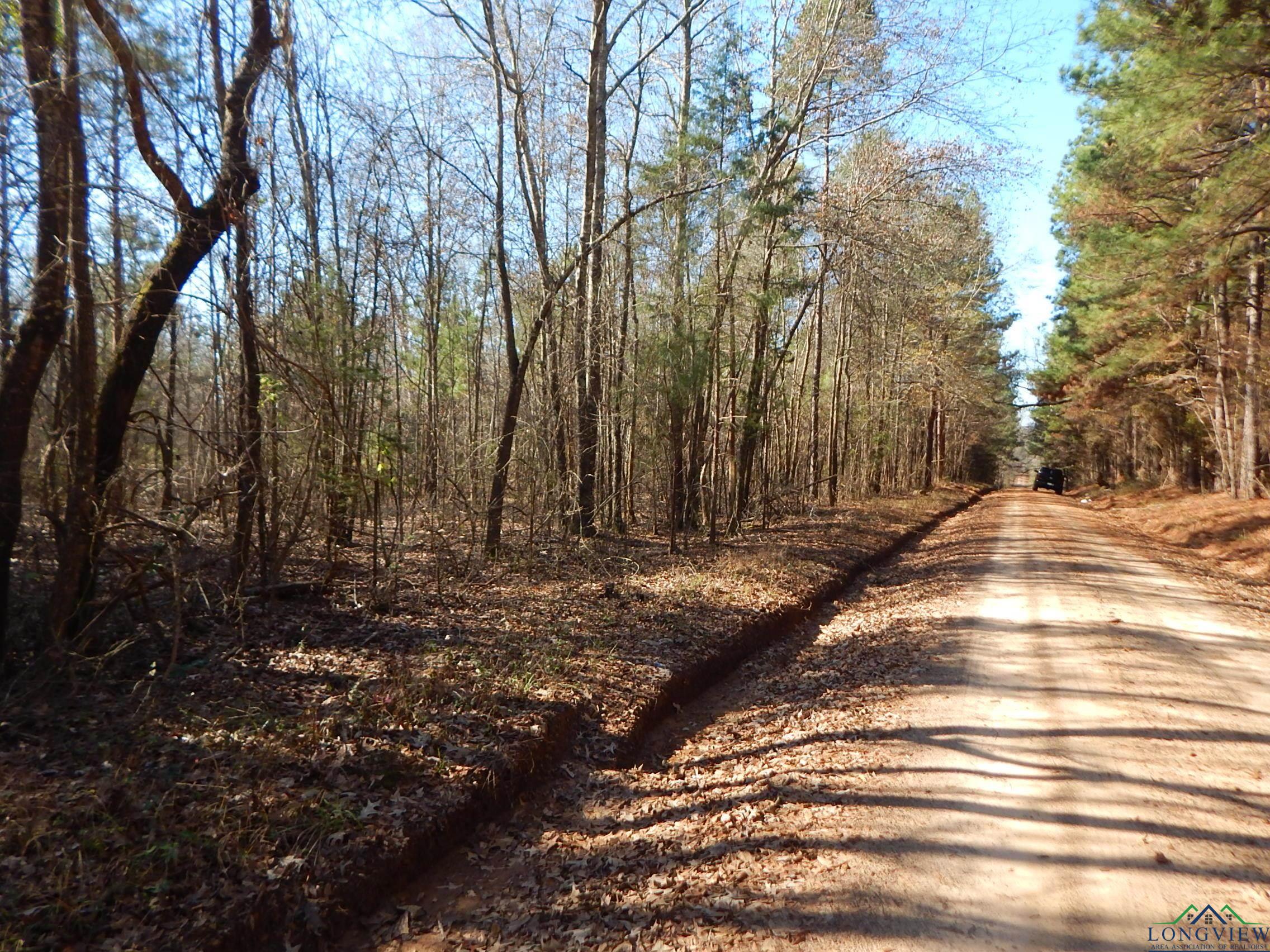 450 W County Road 2359 Avenue, Naples, Texas image 1