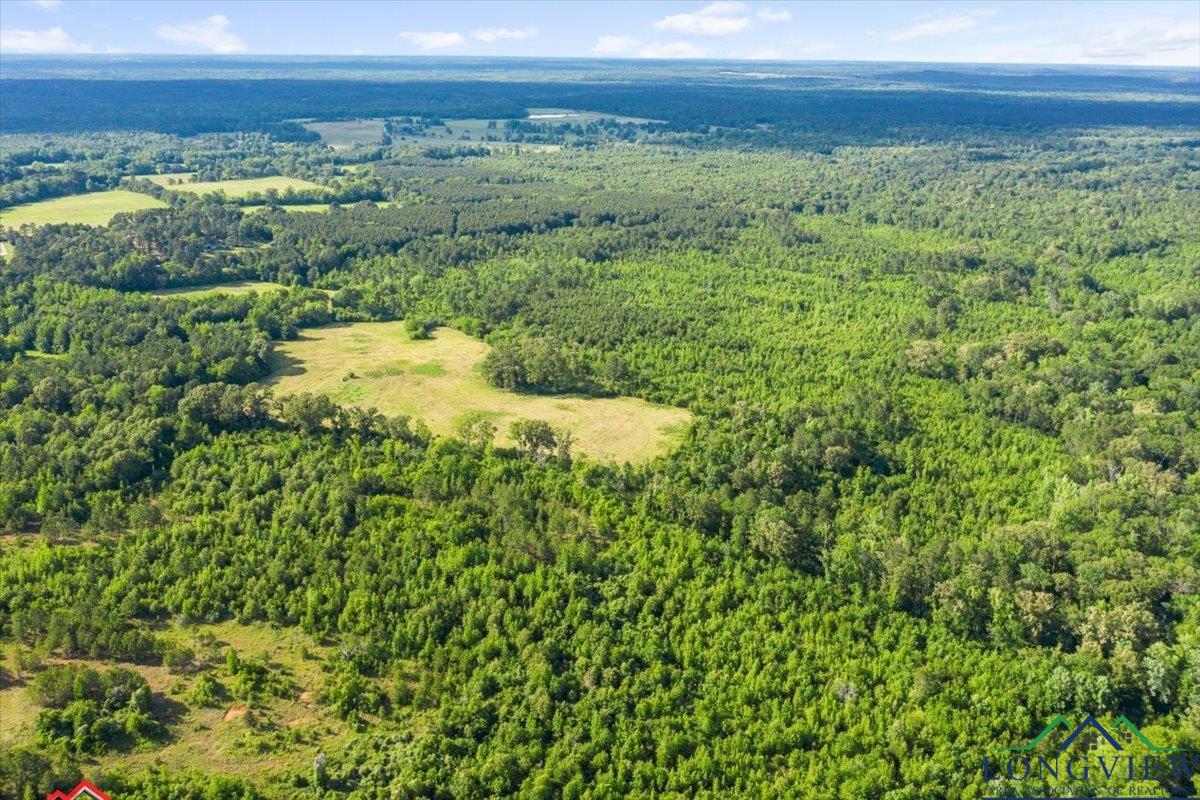 TBD Blackjack Rd, Marshall, Texas image 18