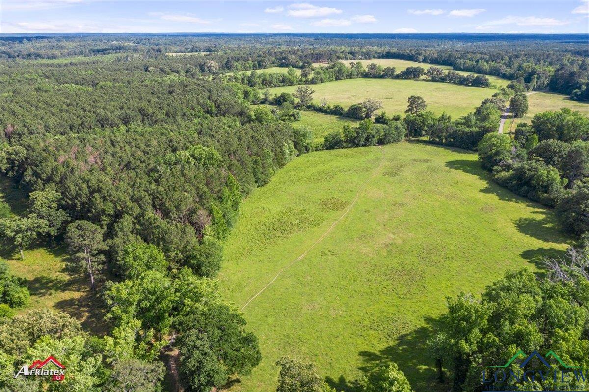 TBD Blackjack Rd, Marshall, Texas image 8