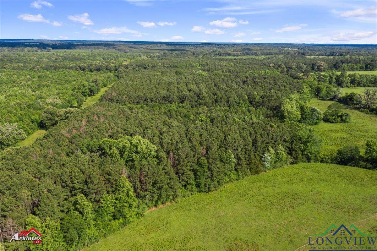 TBD Blackjack Rd, Marshall, Texas image 9