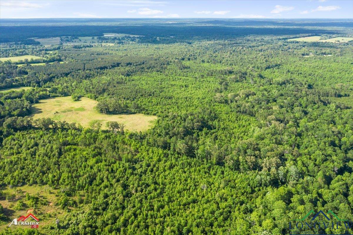 TBD Blackjack Rd, Marshall, Texas image 17