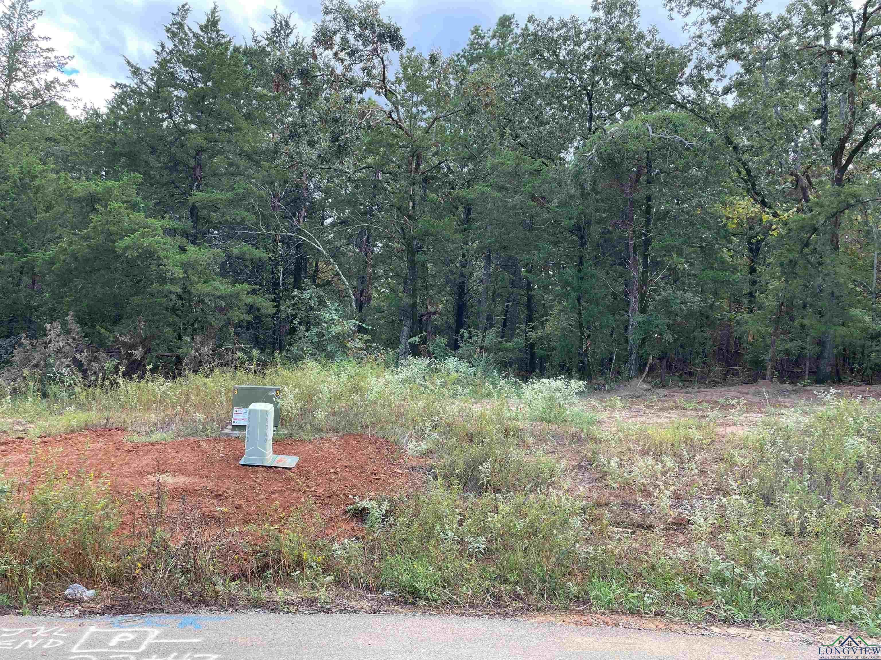 Tbd Cedarpark Place Lot 22, Lindale, Texas image 1