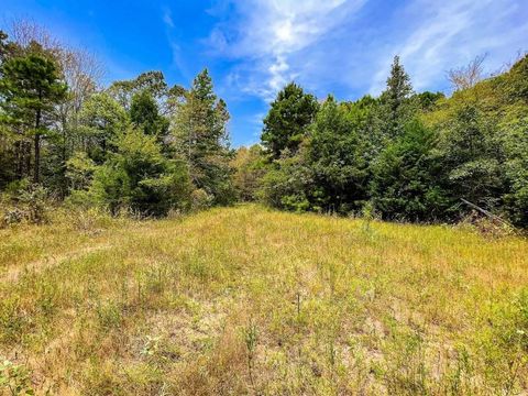 Vacant Land For Sale - TBD County Road 4606<br/> Troup, TX 75789