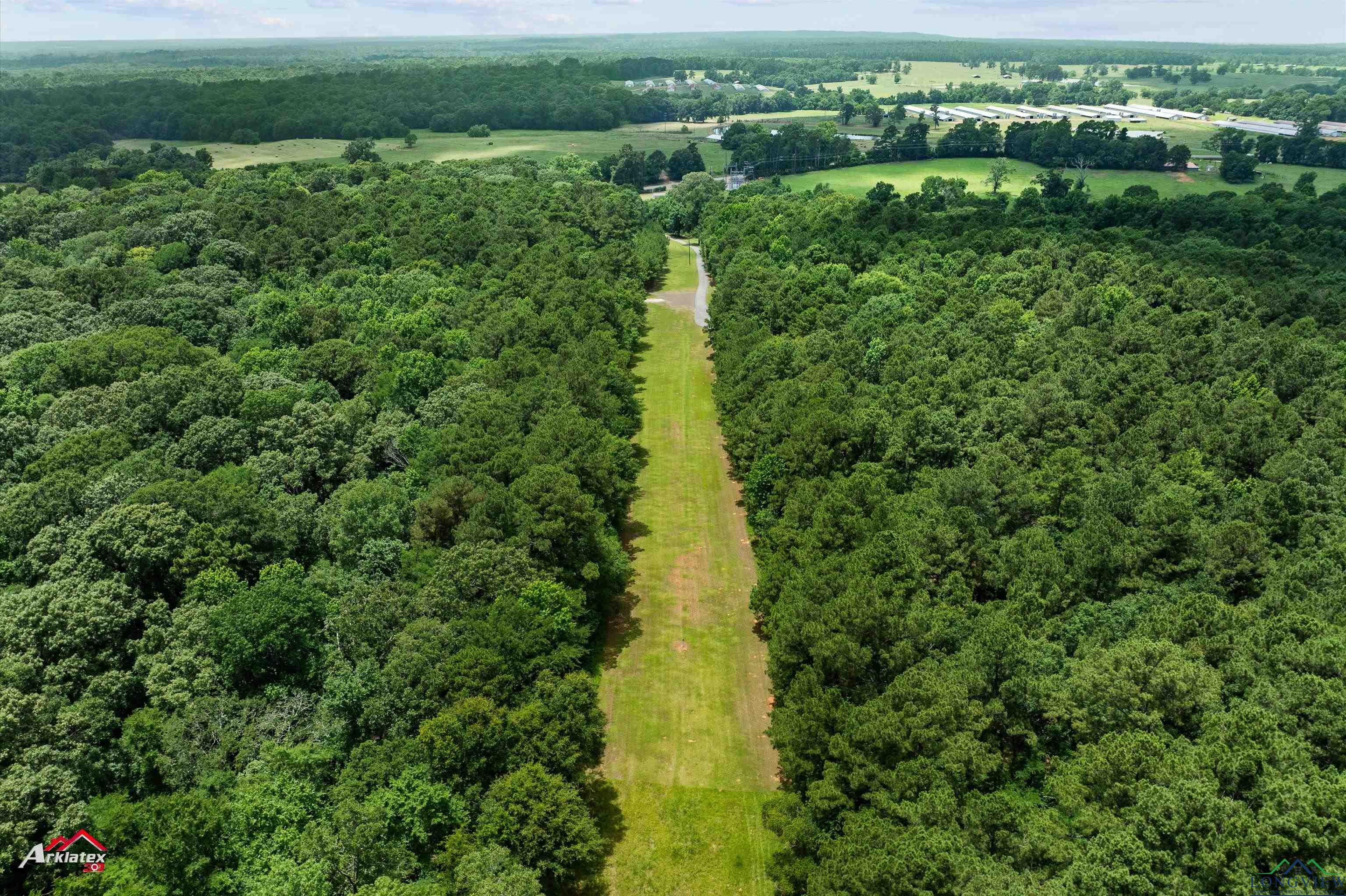 12493 S State Highway 87, Shelbyville, Texas image 47