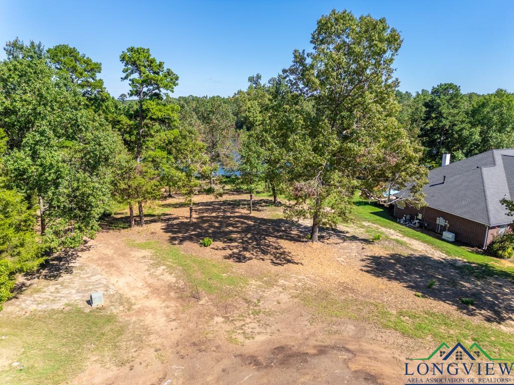 Lot 25 John Dean Road, Gilmer, Texas image 8