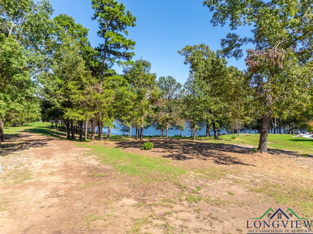 Lot 25 John Dean Road, Gilmer, Texas image 7