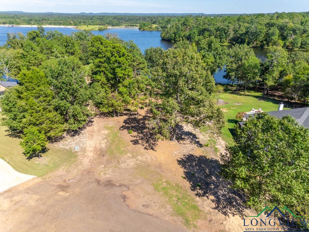 Lot 25 John Dean Road, Gilmer, Texas image 6