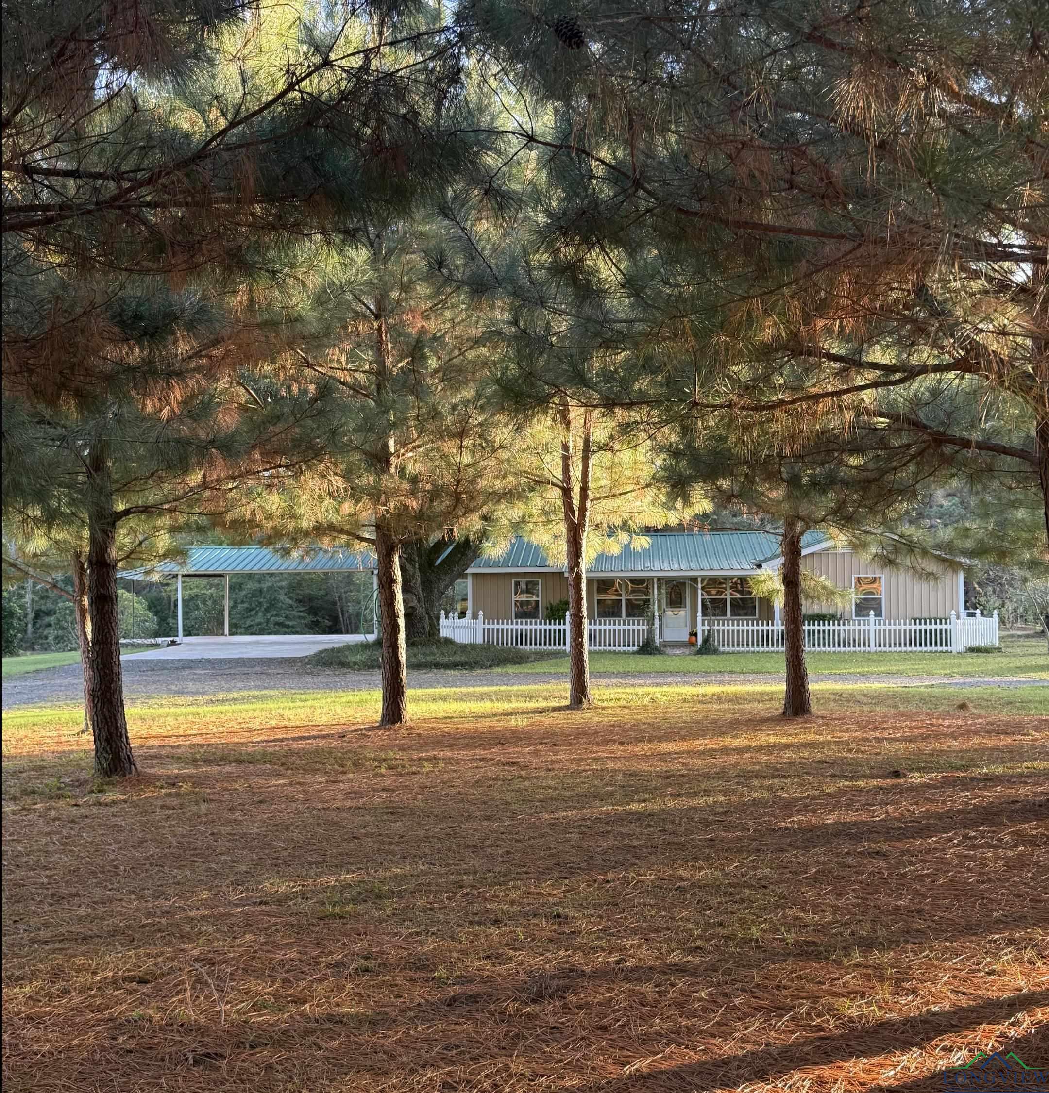 1017 Pheasant Rd, Gilmer, Texas image 23