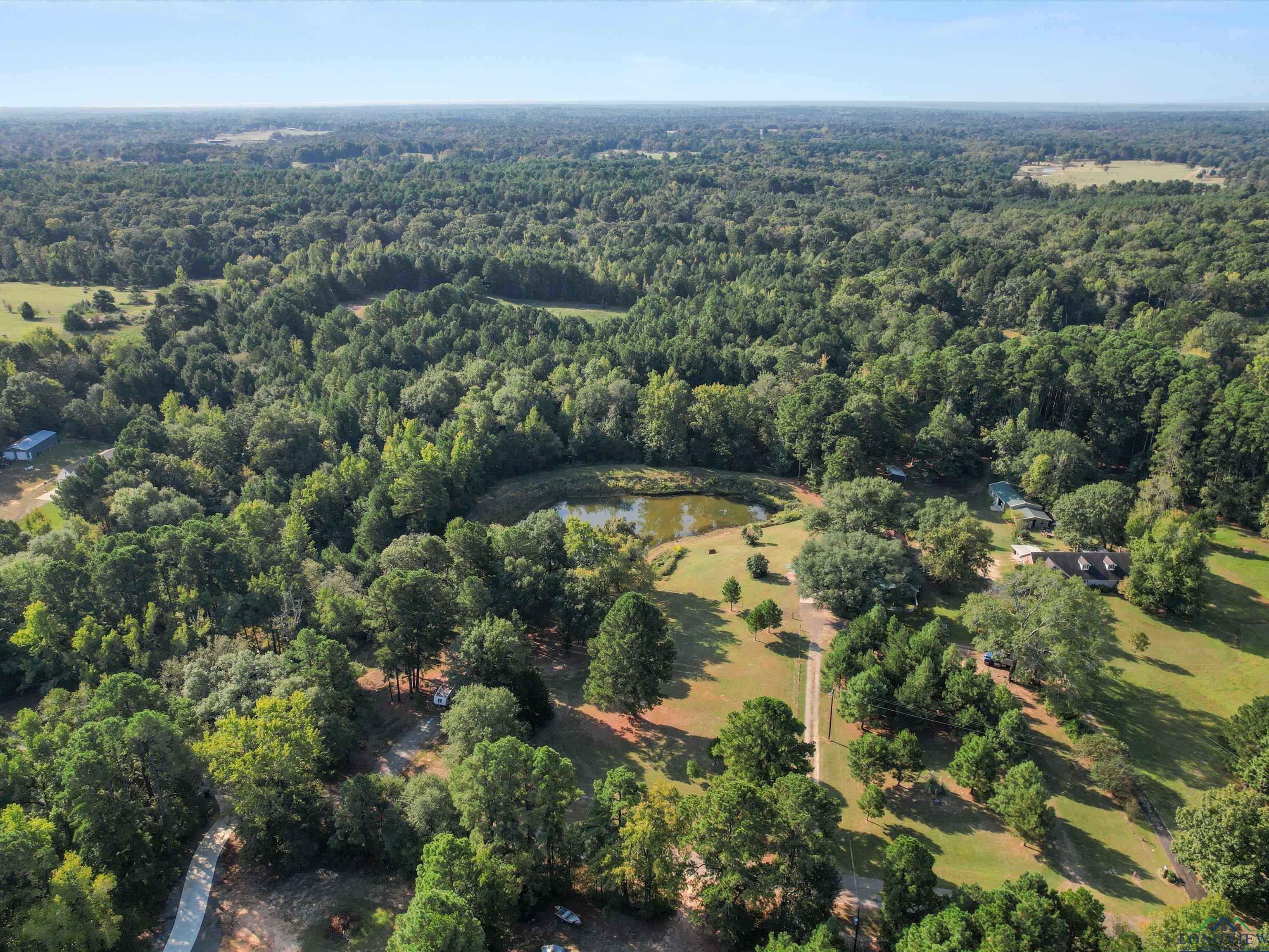 1017 Pheasant Rd, Gilmer, Texas image 6