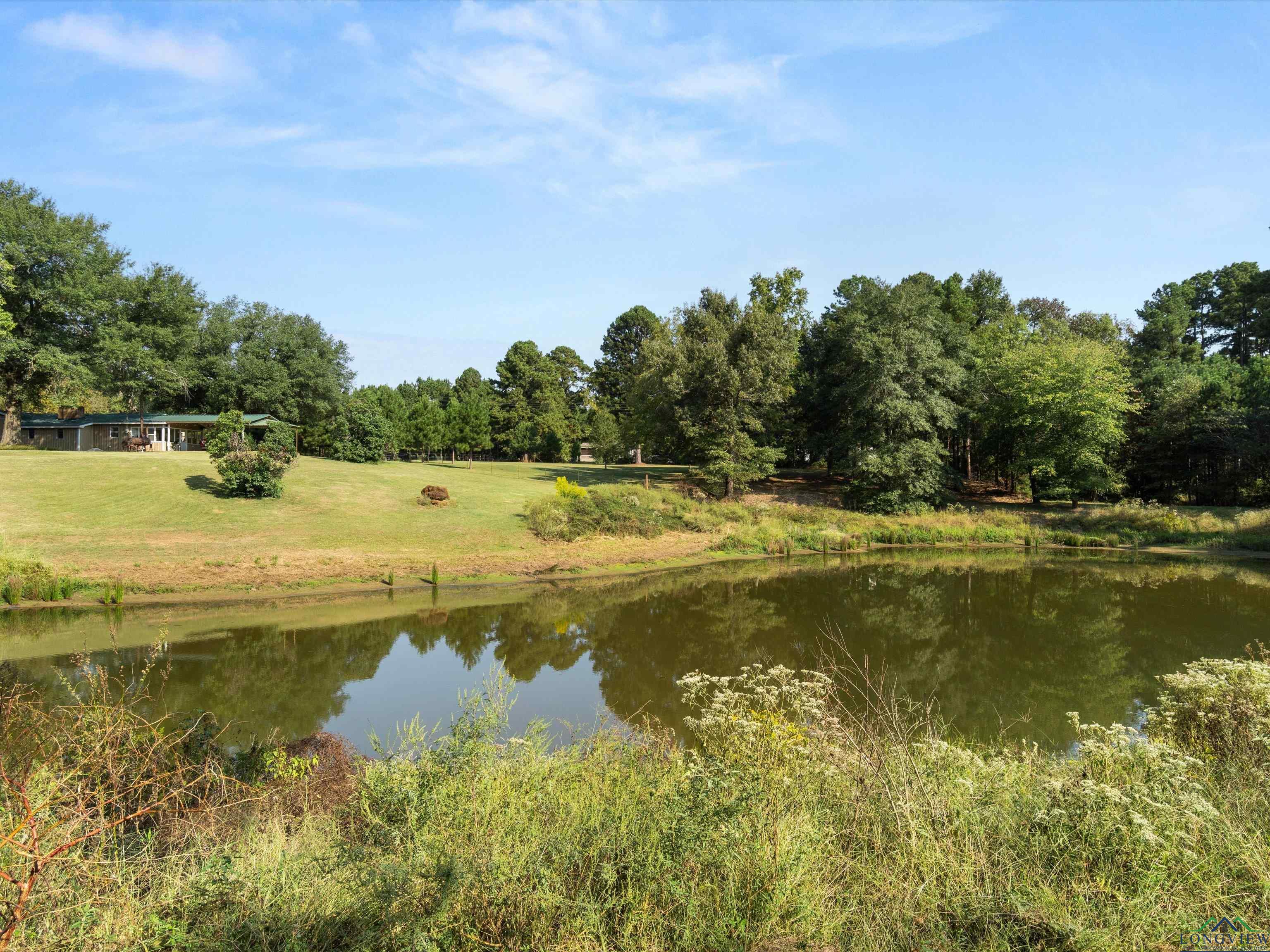 1017 Pheasant Rd, Gilmer, Texas image 26