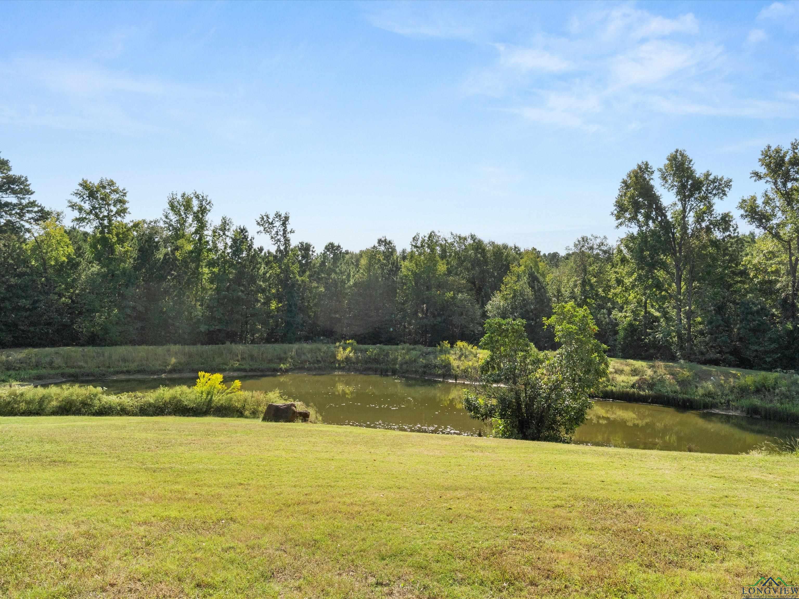 1017 Pheasant Rd, Gilmer, Texas image 25