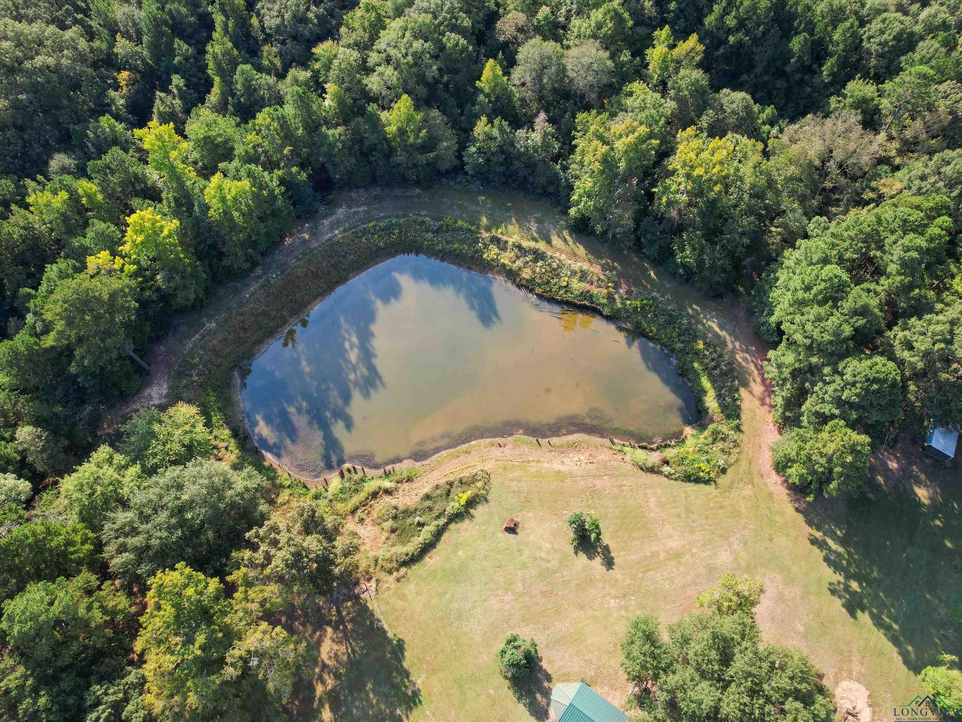 1017 Pheasant Rd, Gilmer, Texas image 9