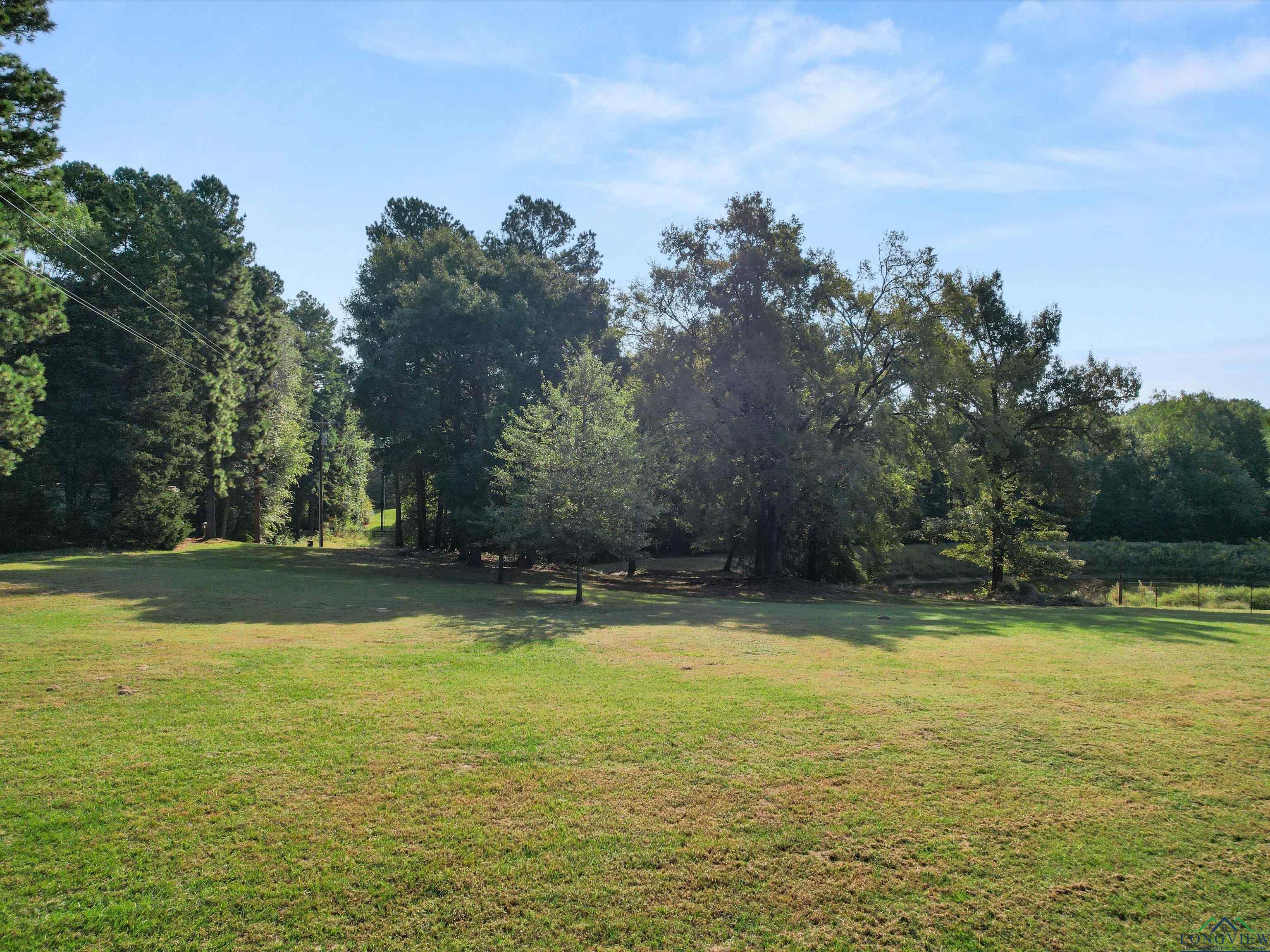 1017 Pheasant Rd, Gilmer, Texas image 4