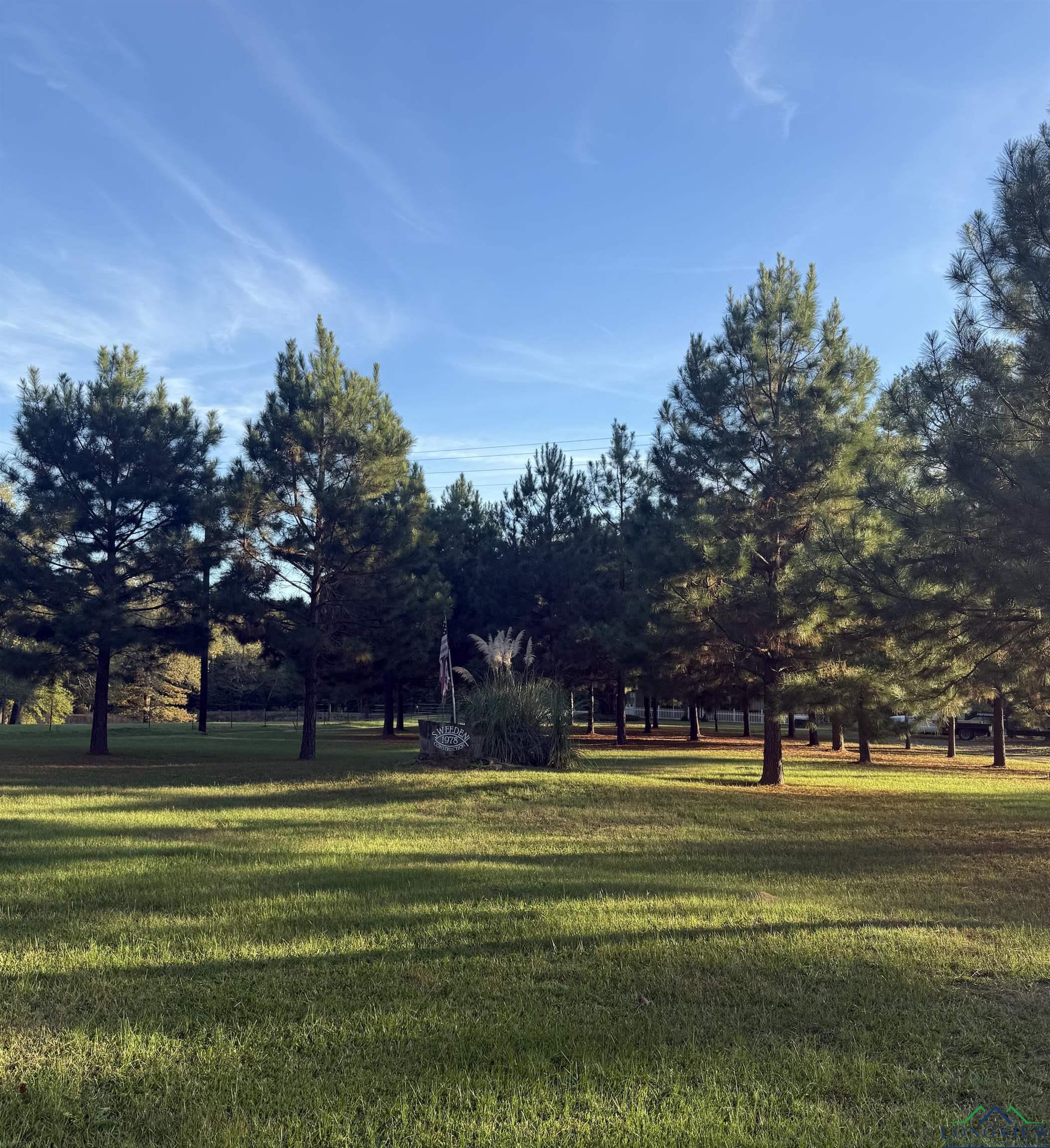 1017 Pheasant Rd, Gilmer, Texas image 32