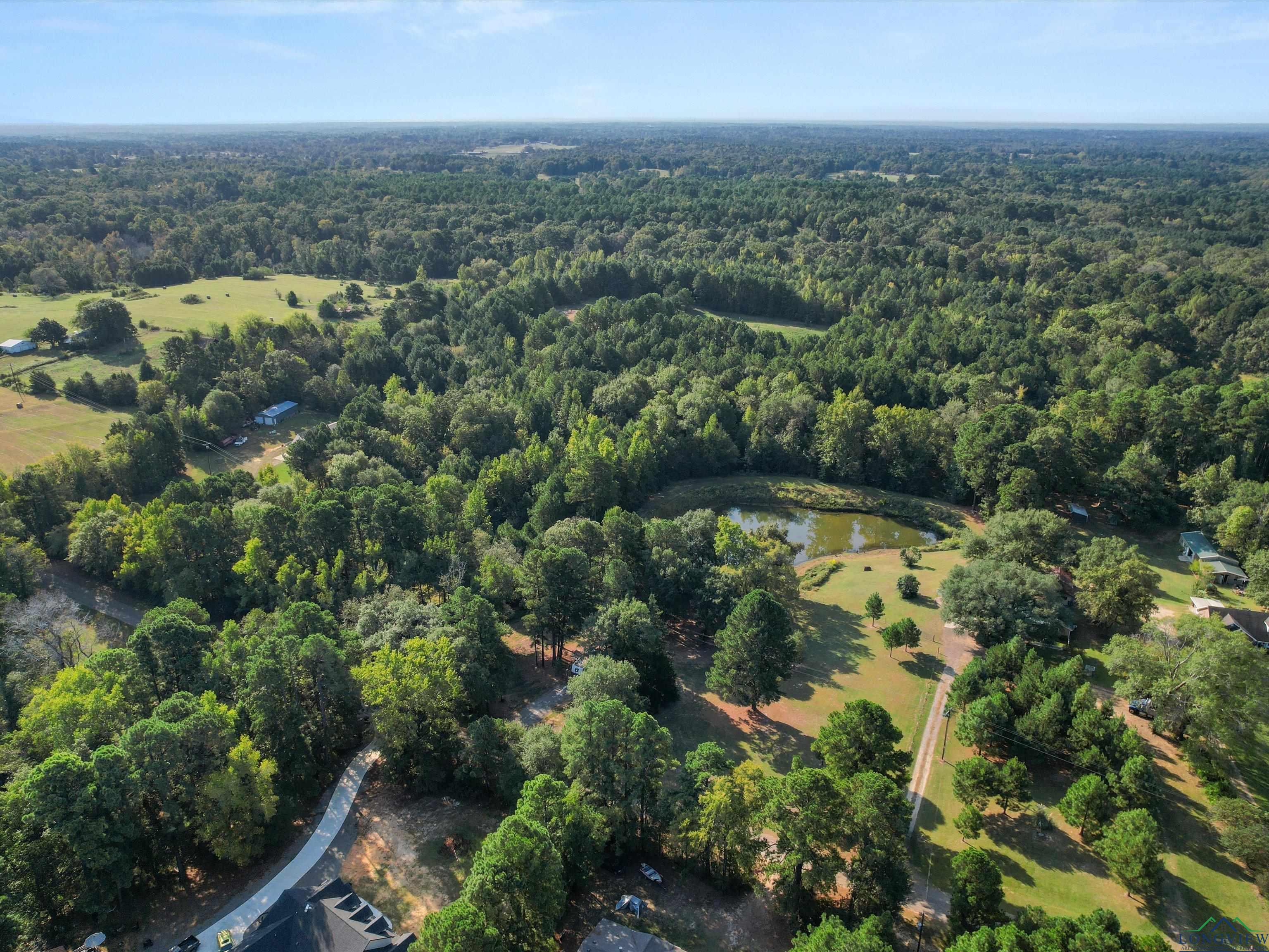 1017 Pheasant Rd, Gilmer, Texas image 8