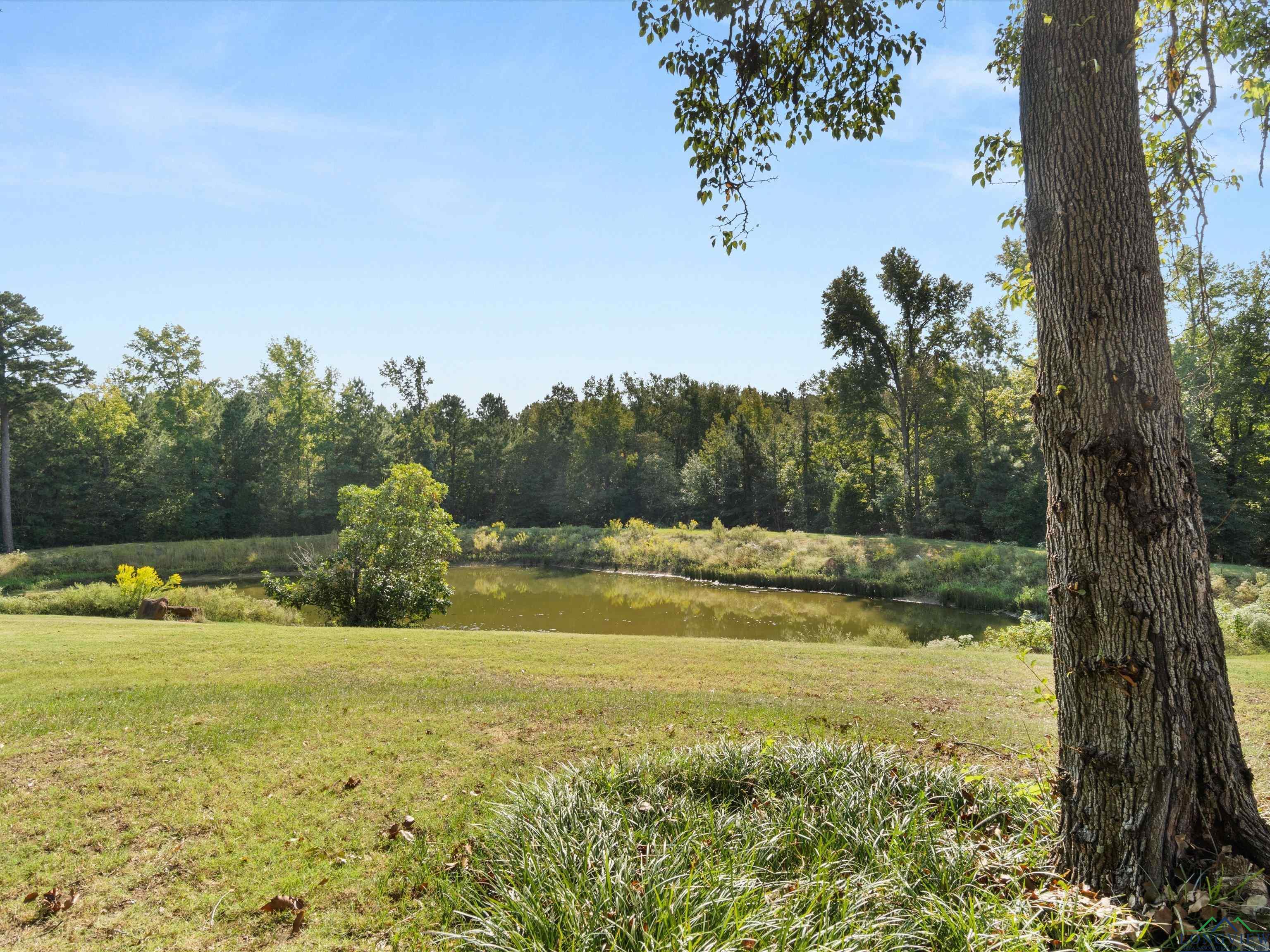 1017 Pheasant Rd, Gilmer, Texas image 28